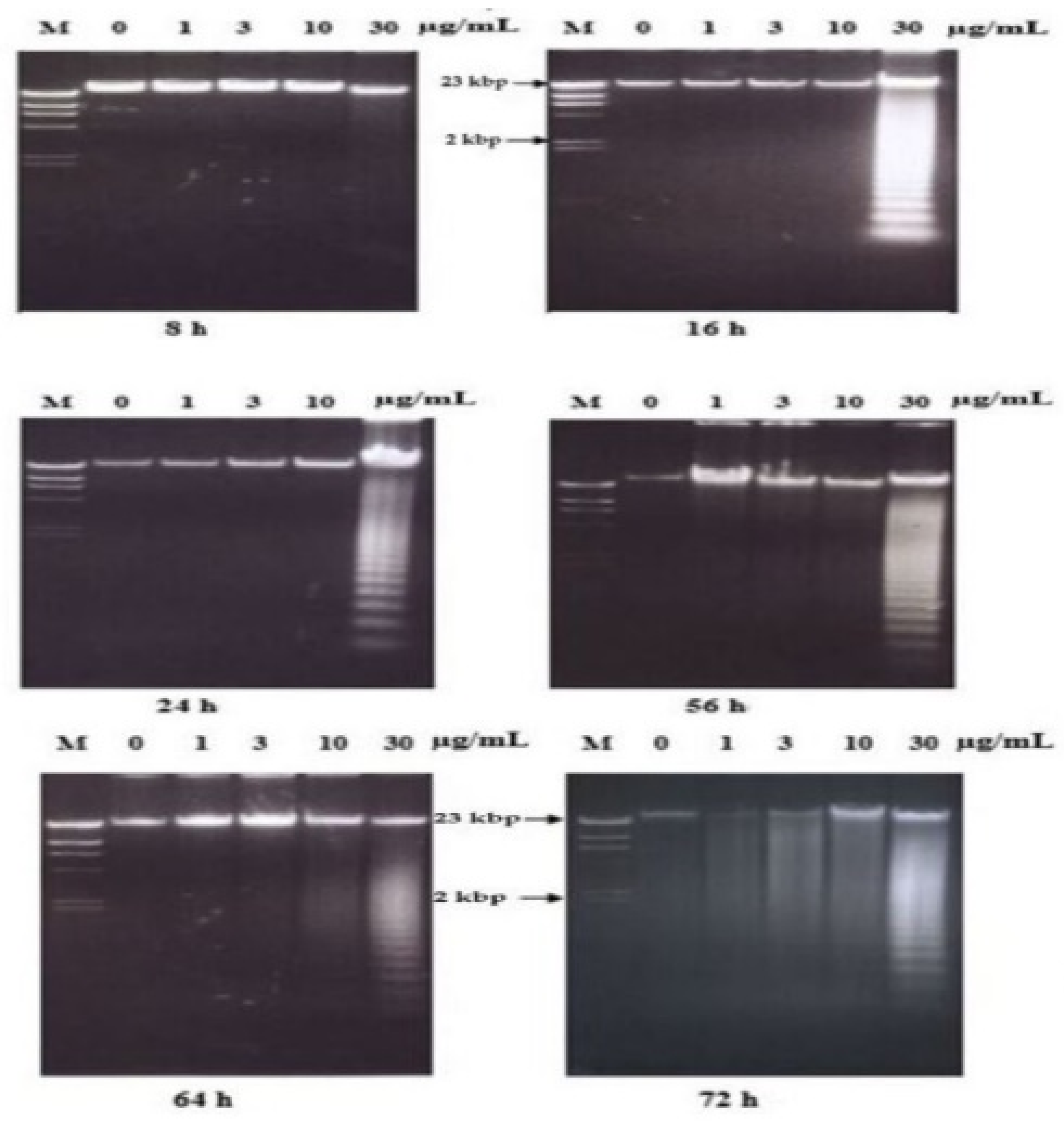 Molecules 26 01554 g008