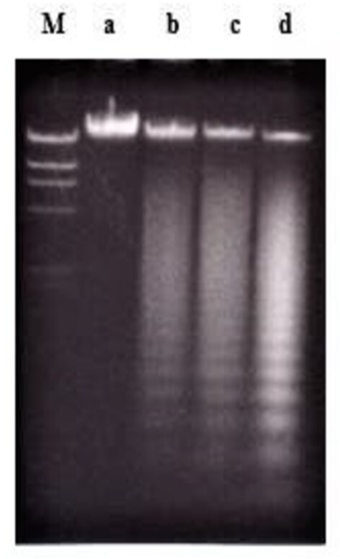 Molecules 26 01554 g010