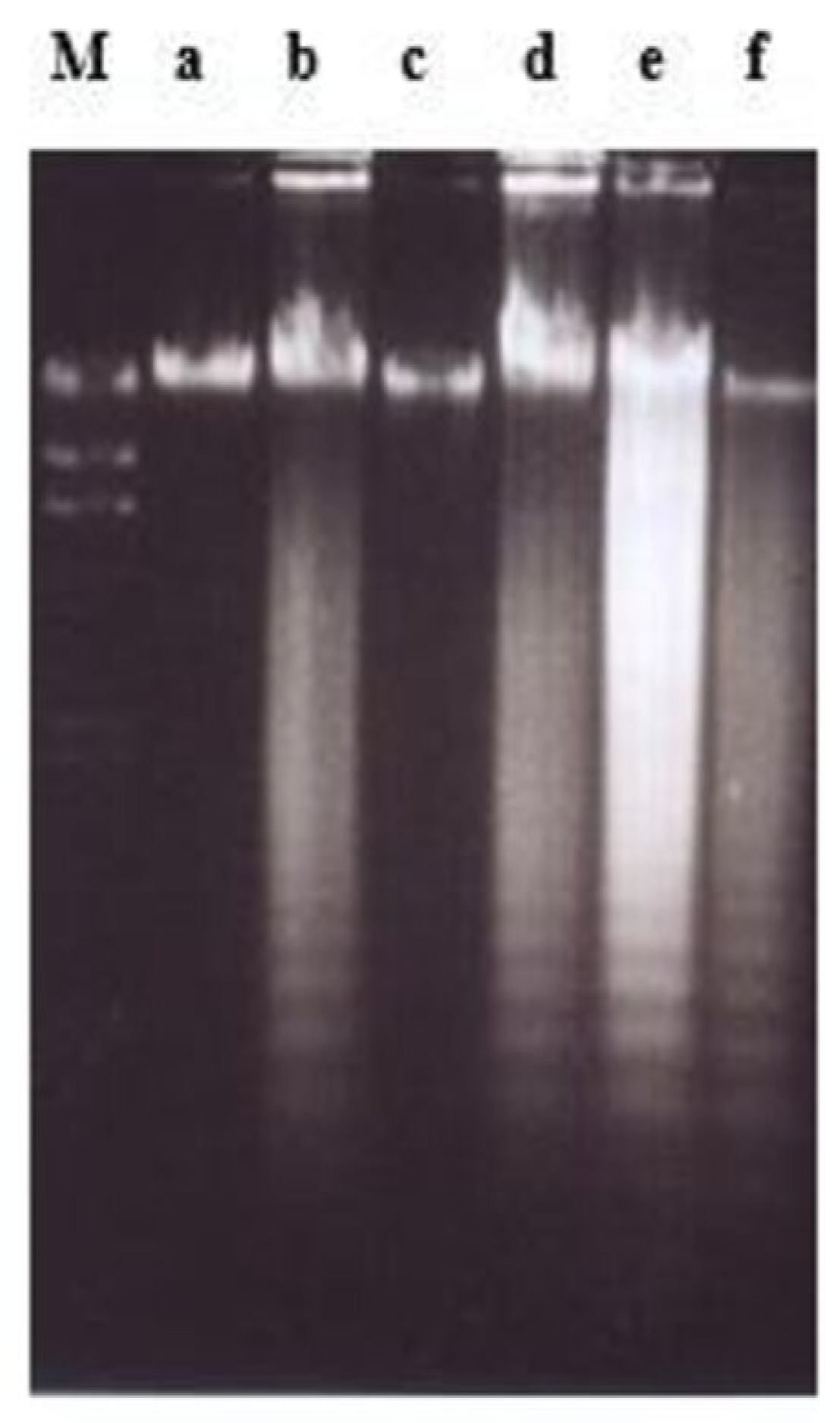 Molecules 26 01554 g012