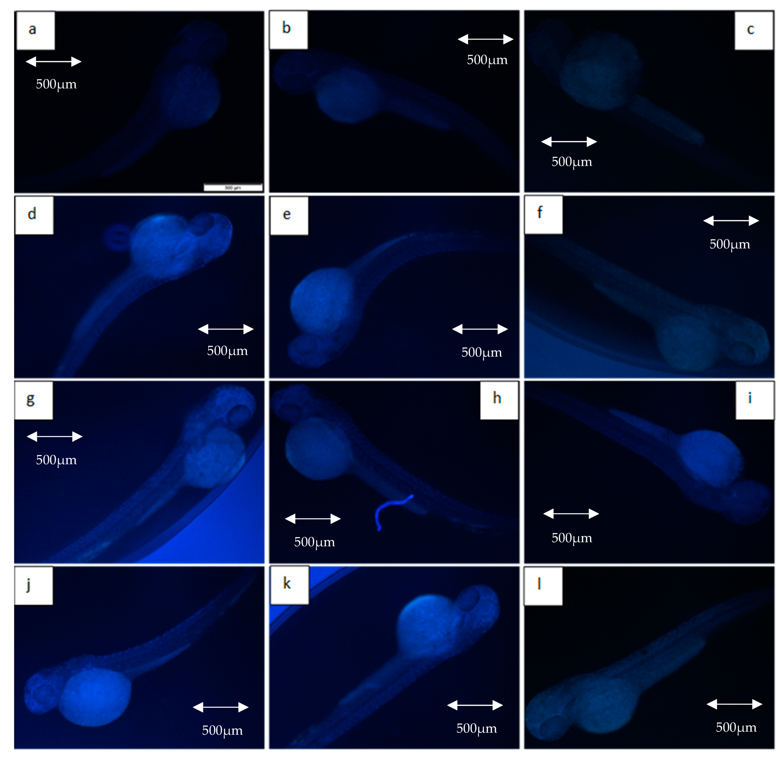 Molecules 26 01557 g007 Molecules 26 01557 g007