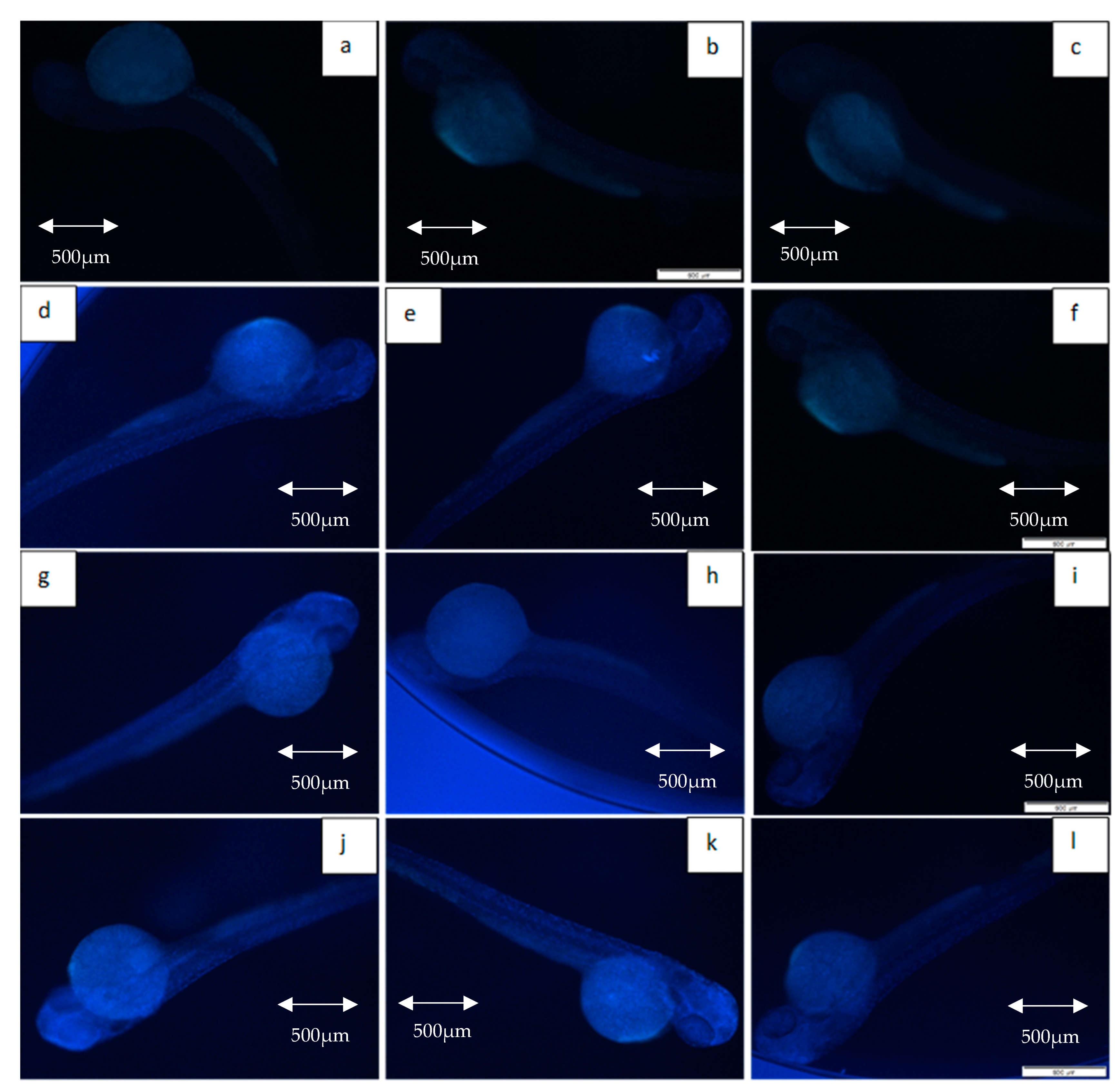 Molecules 26 01557 g009 Molecules 26 01557 g009