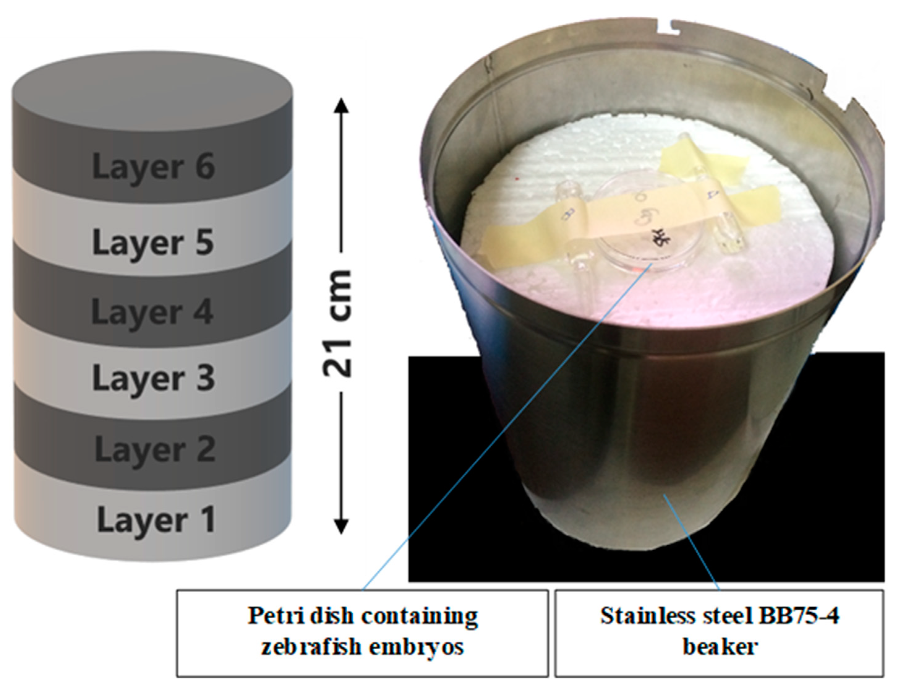 Molecules 26 01557 g011 Molecules 26 01557 g011