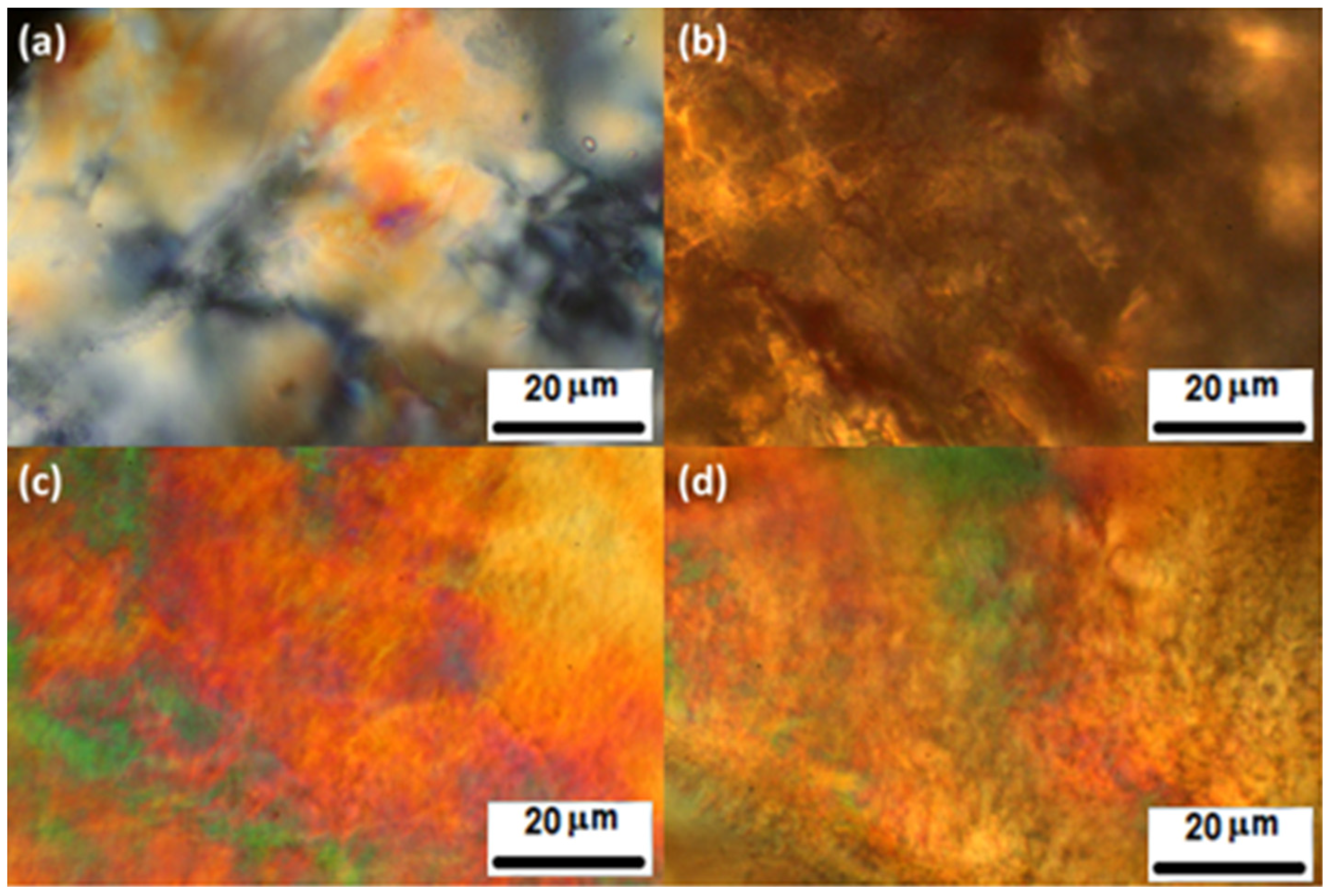 Molecules 26 01560 g003 Molecules 26 01560 g003