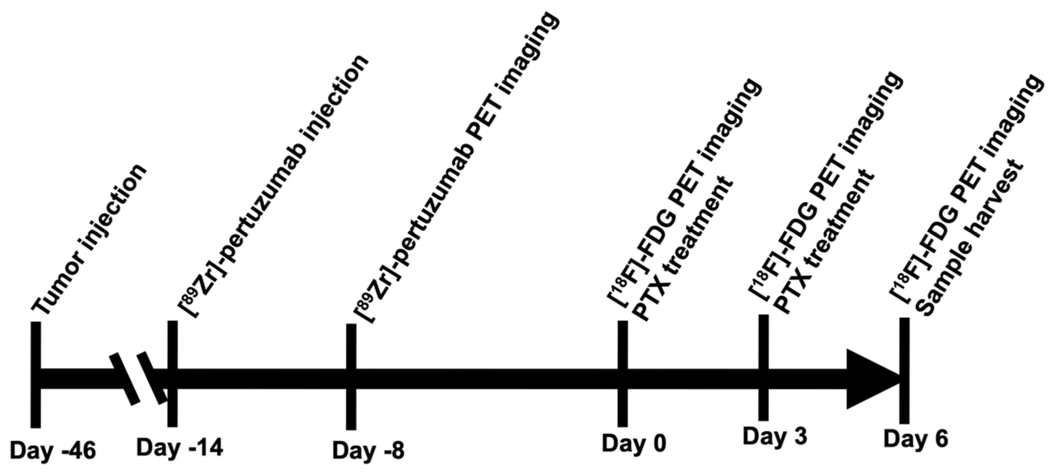 Molecules 26 01568 g001 Molecules 26 01568 g001
