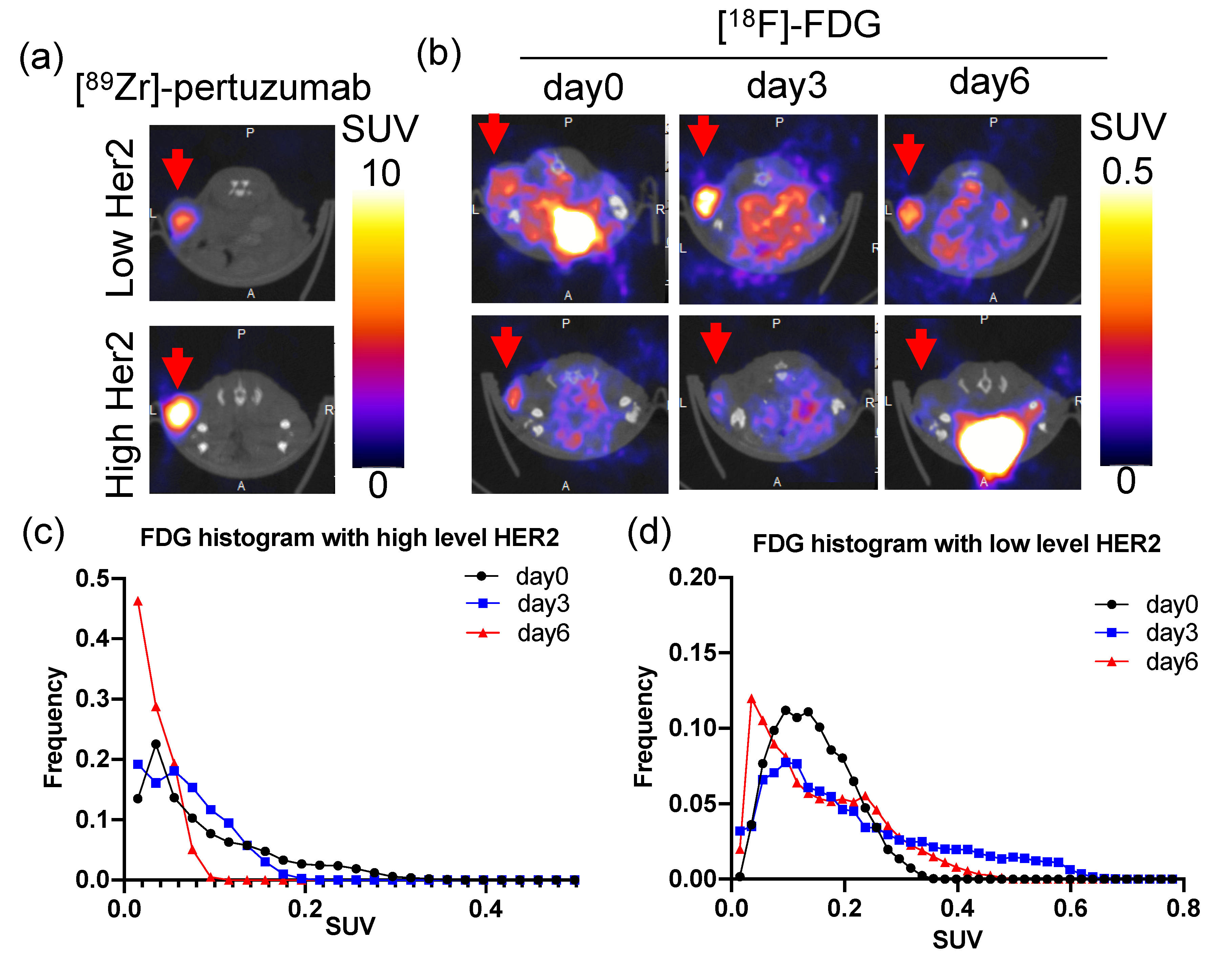 Molecules 26 01568 g006 Molecules 26 01568 g006