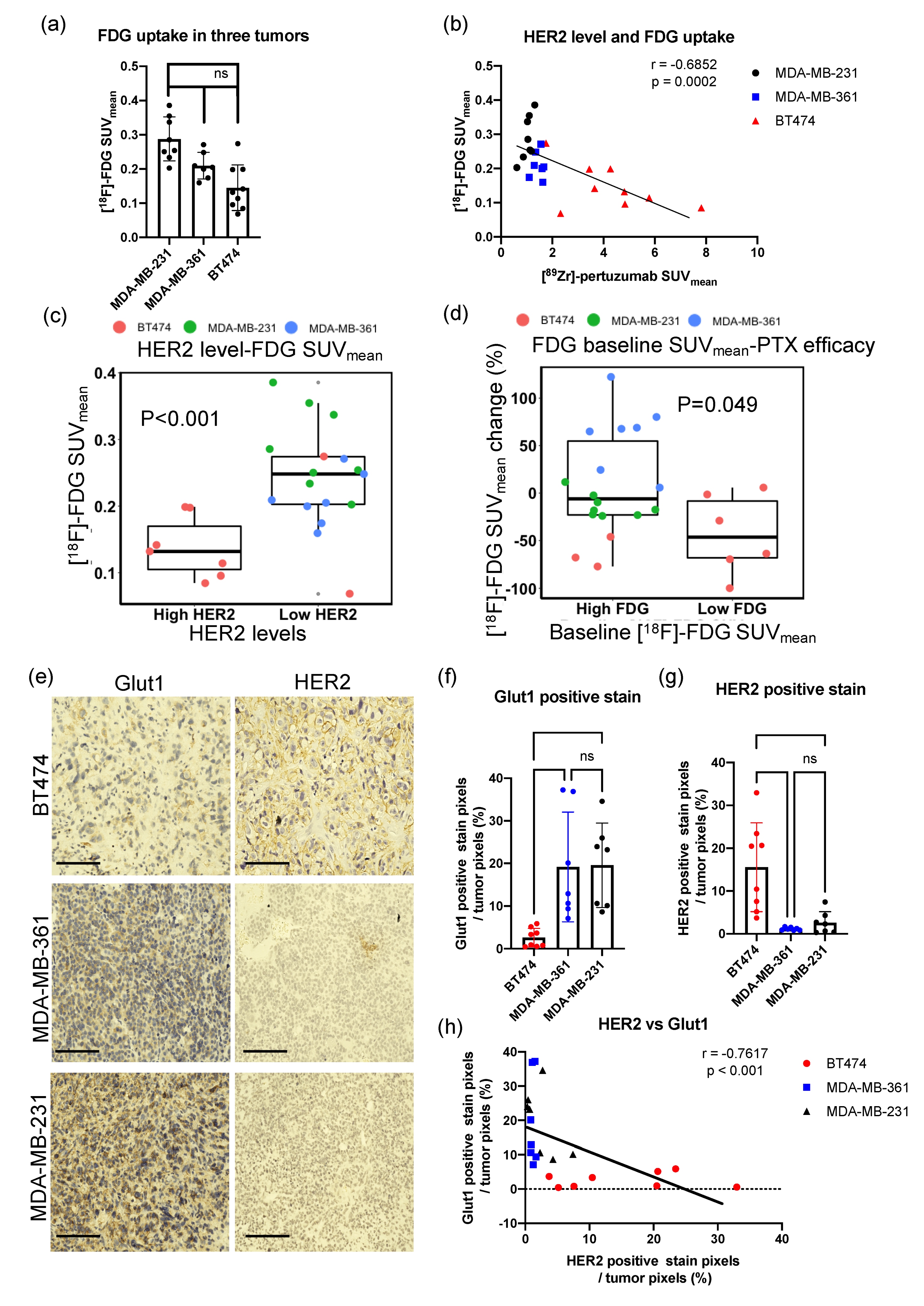 Molecules 26 01568 g007 Molecules 26 01568 g007