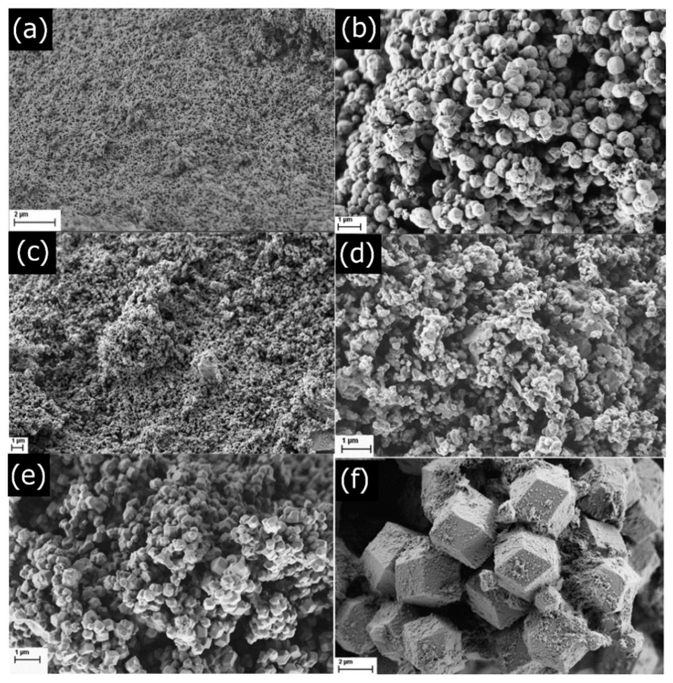 Molecules 26 01573 g002 Molecules 26 01573 g002