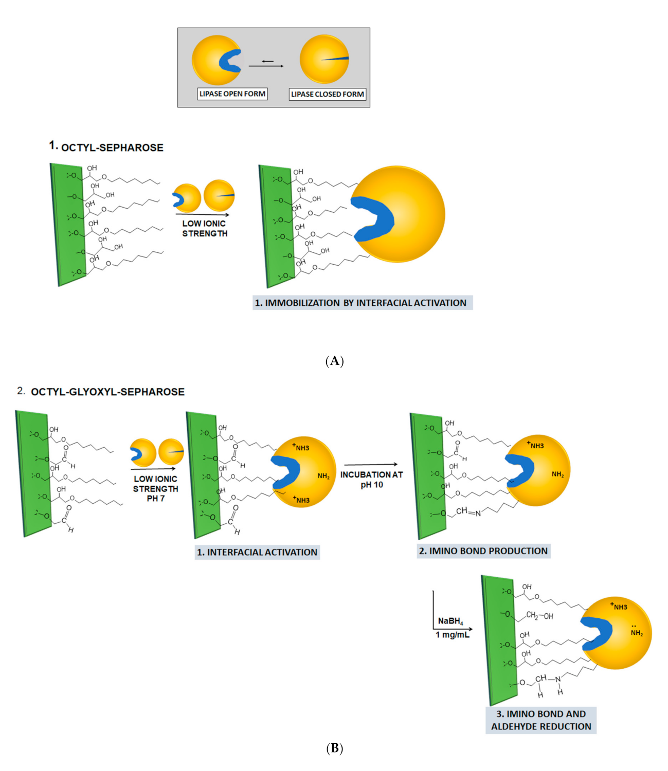 Molecules 26 01574 g001a