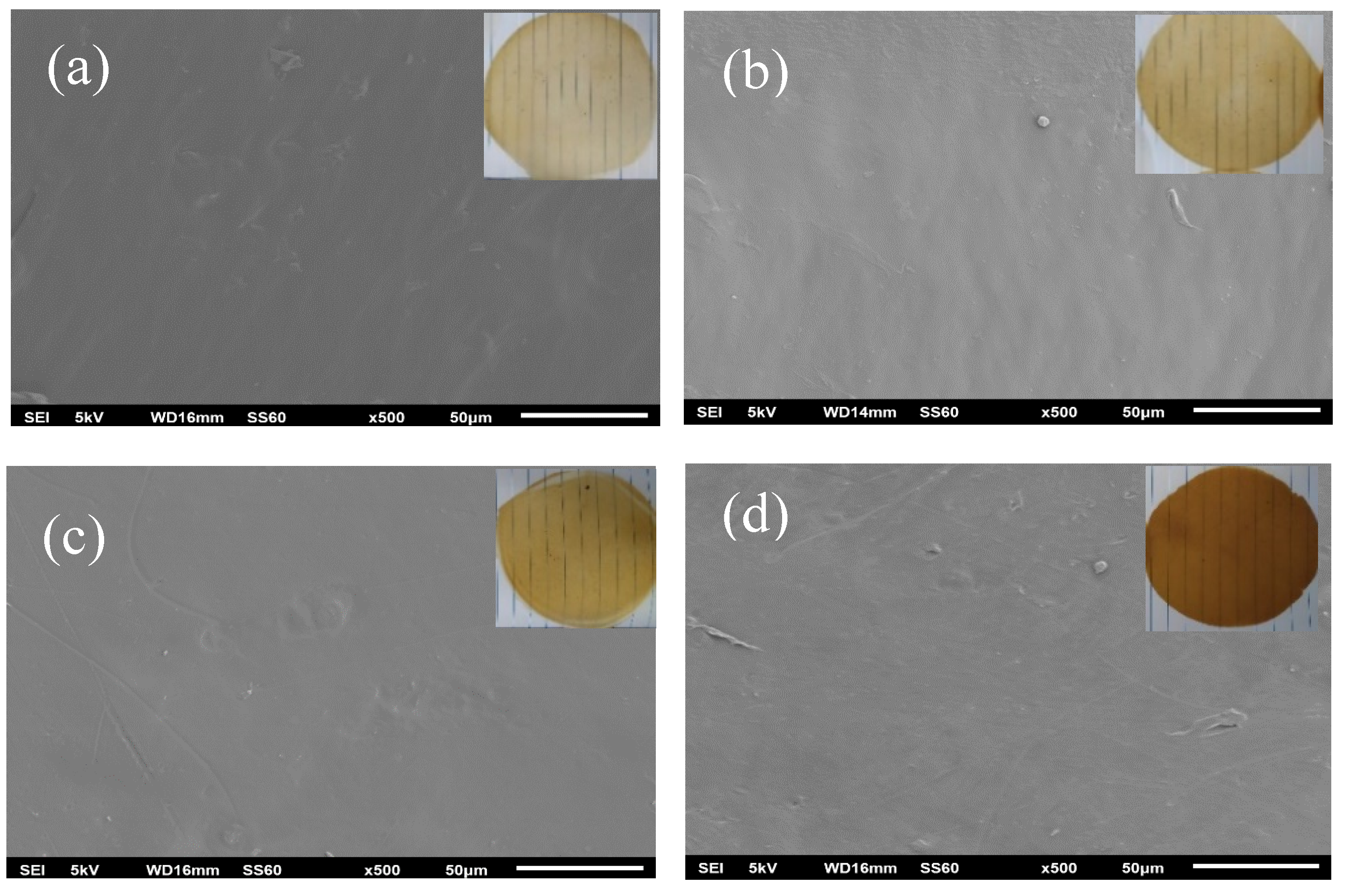 Molecules 26 01585 g005 Molecules 26 01585 g005