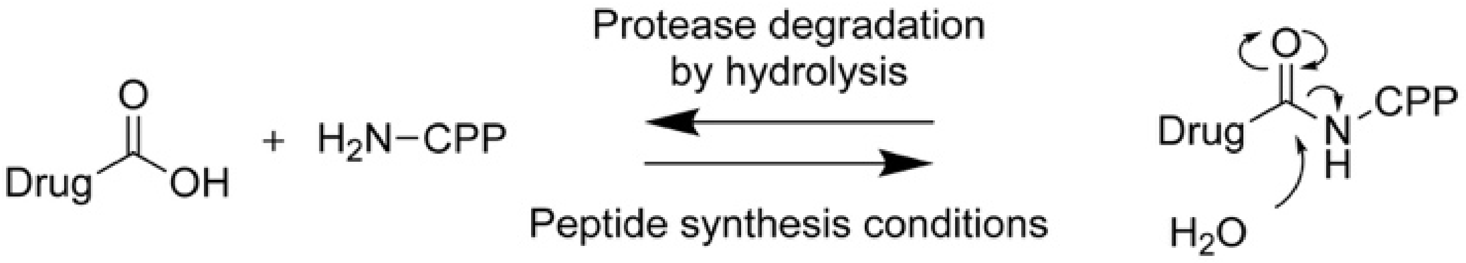 Molecules 26 01591 sch001
