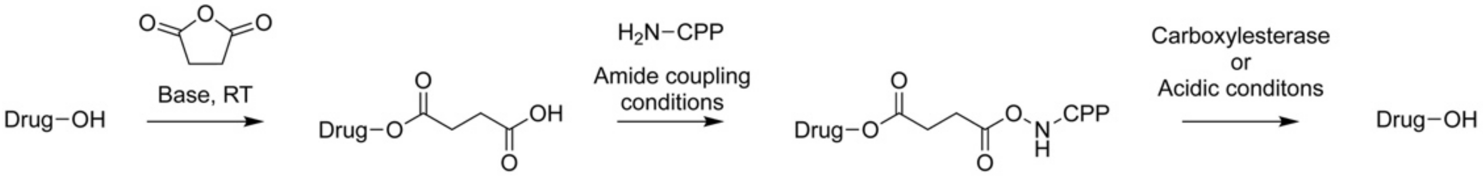 Molecules 26 01591 sch005
