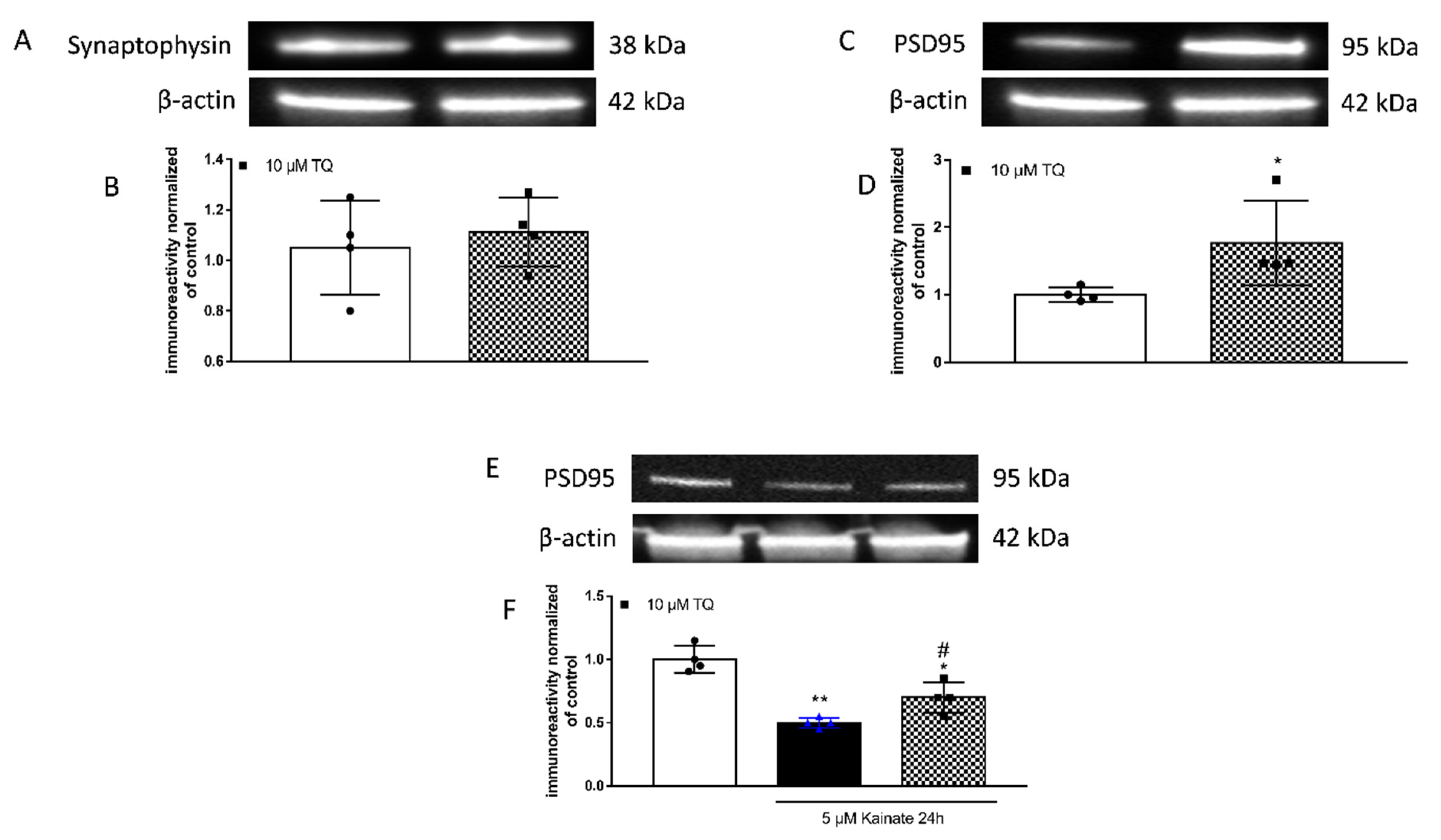 Molecules 26 01592 g001 Molecules 26 01592 g001
