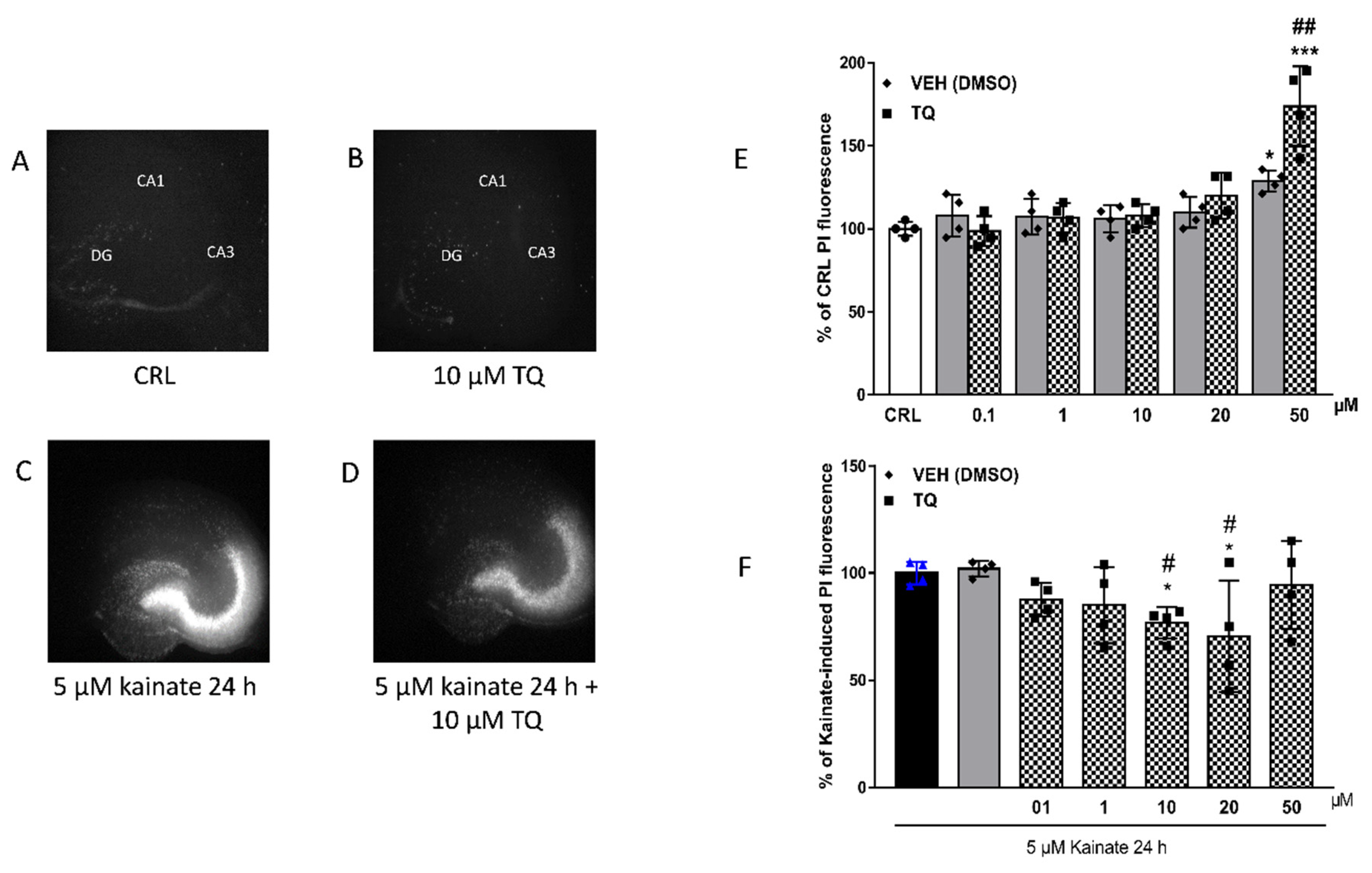 Molecules 26 01592 g002 Molecules 26 01592 g002