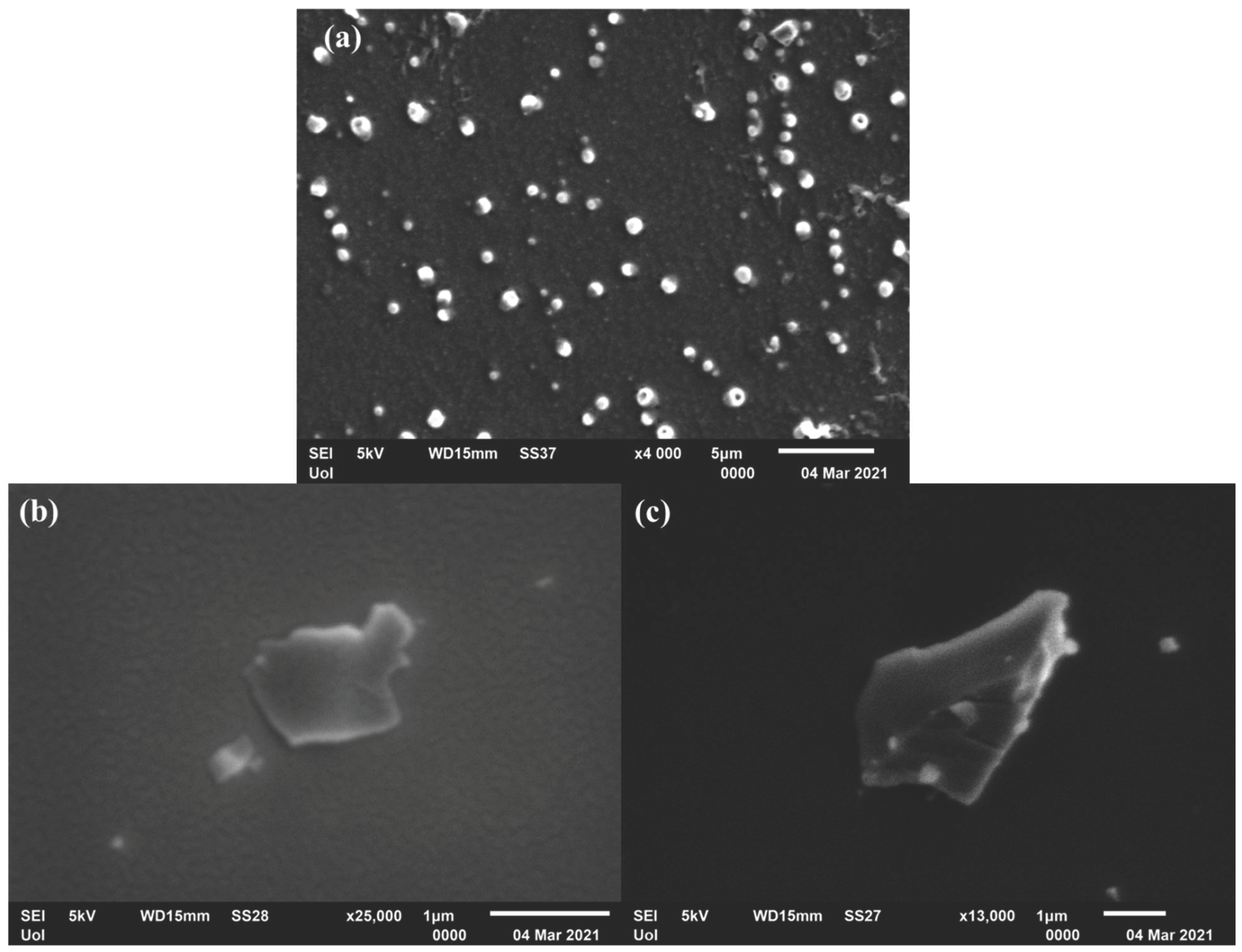 Molecules 26 01595 g005 Molecules 26 01595 g005