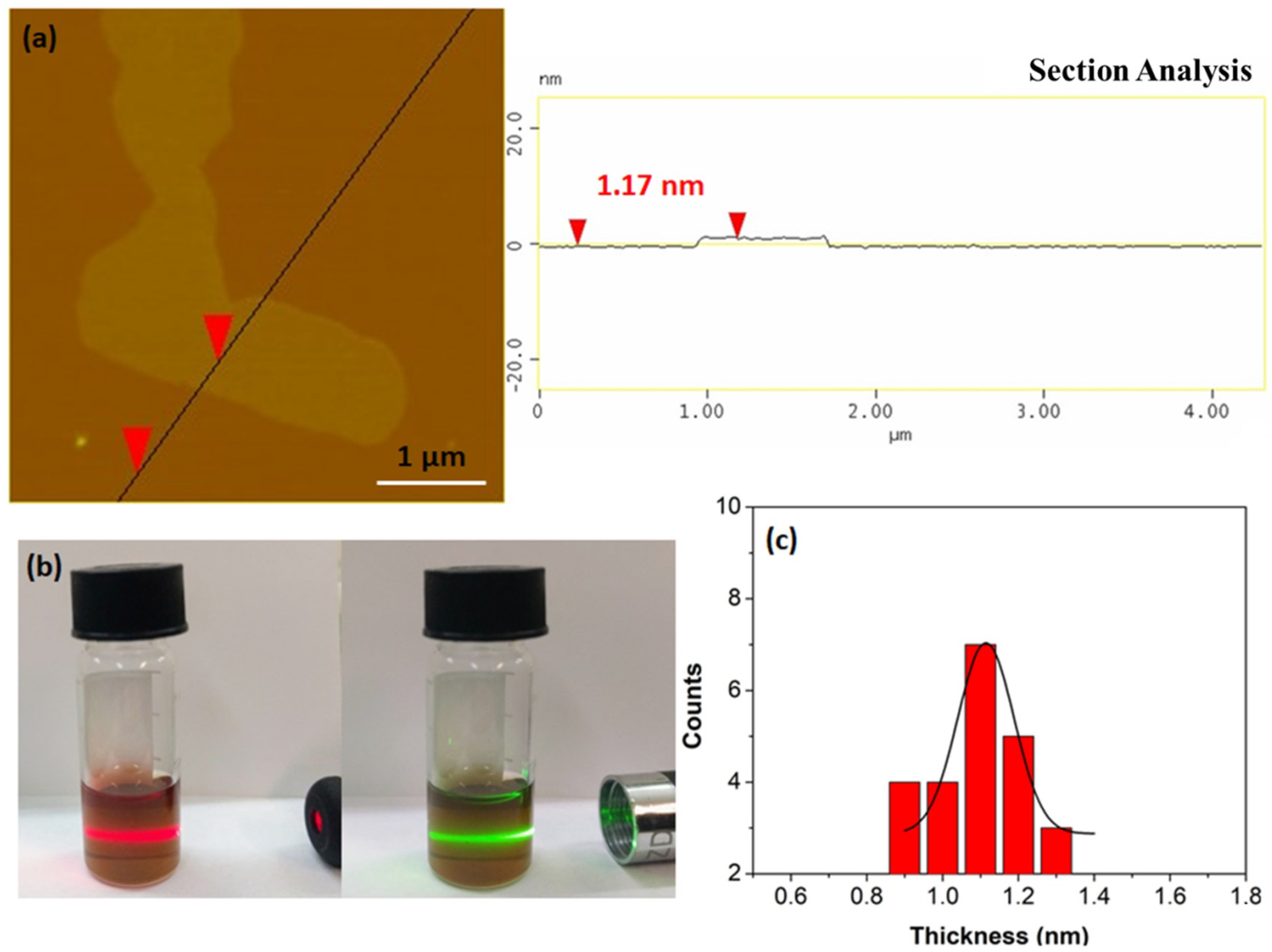 Molecules 26 01595 g008 Molecules 26 01595 g008