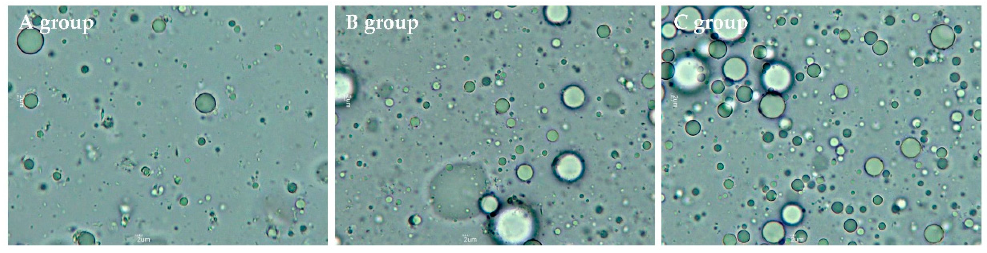 Molecules 26 01596 g003 Molecules 26 01596 g003