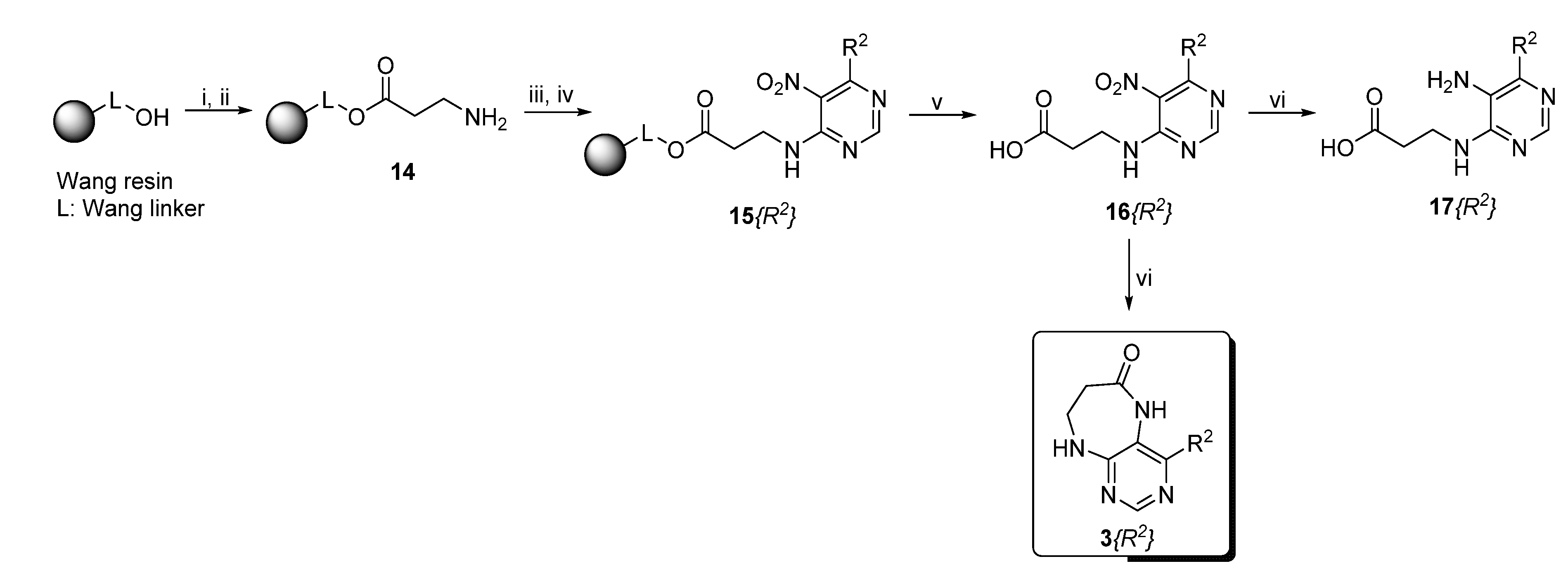 Molecules 26 01603 sch003