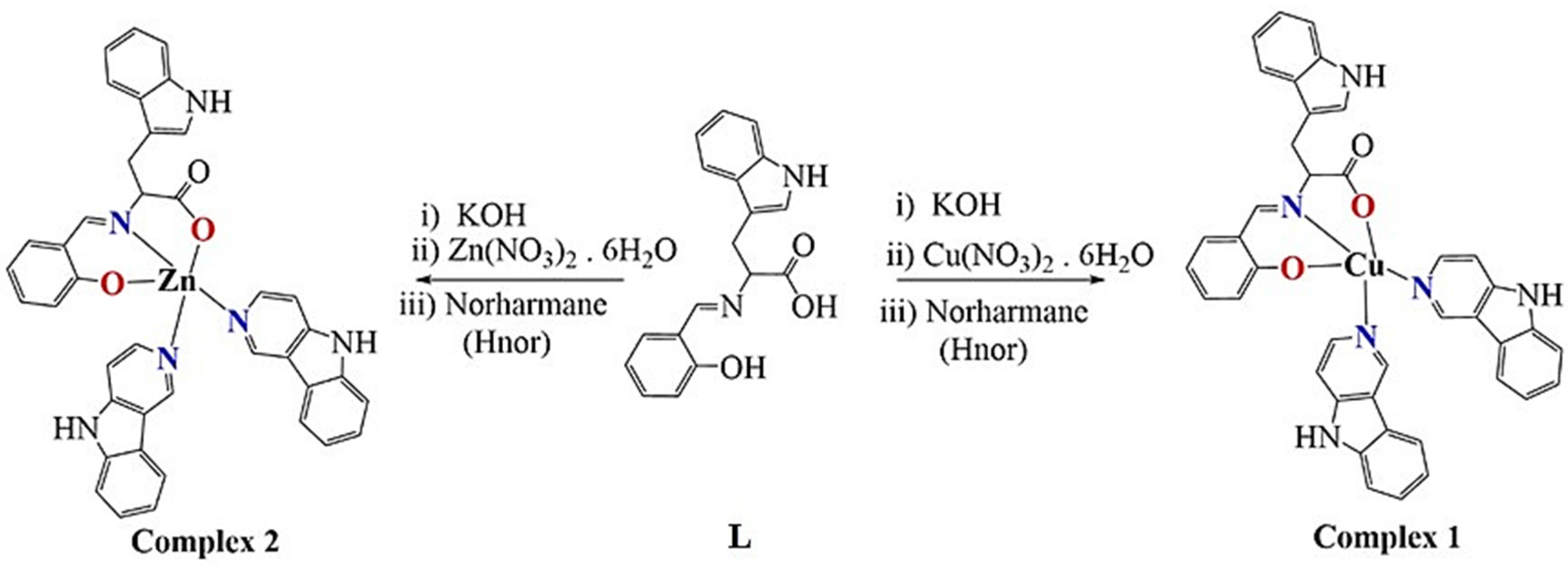 Molecules 26 01606 g001