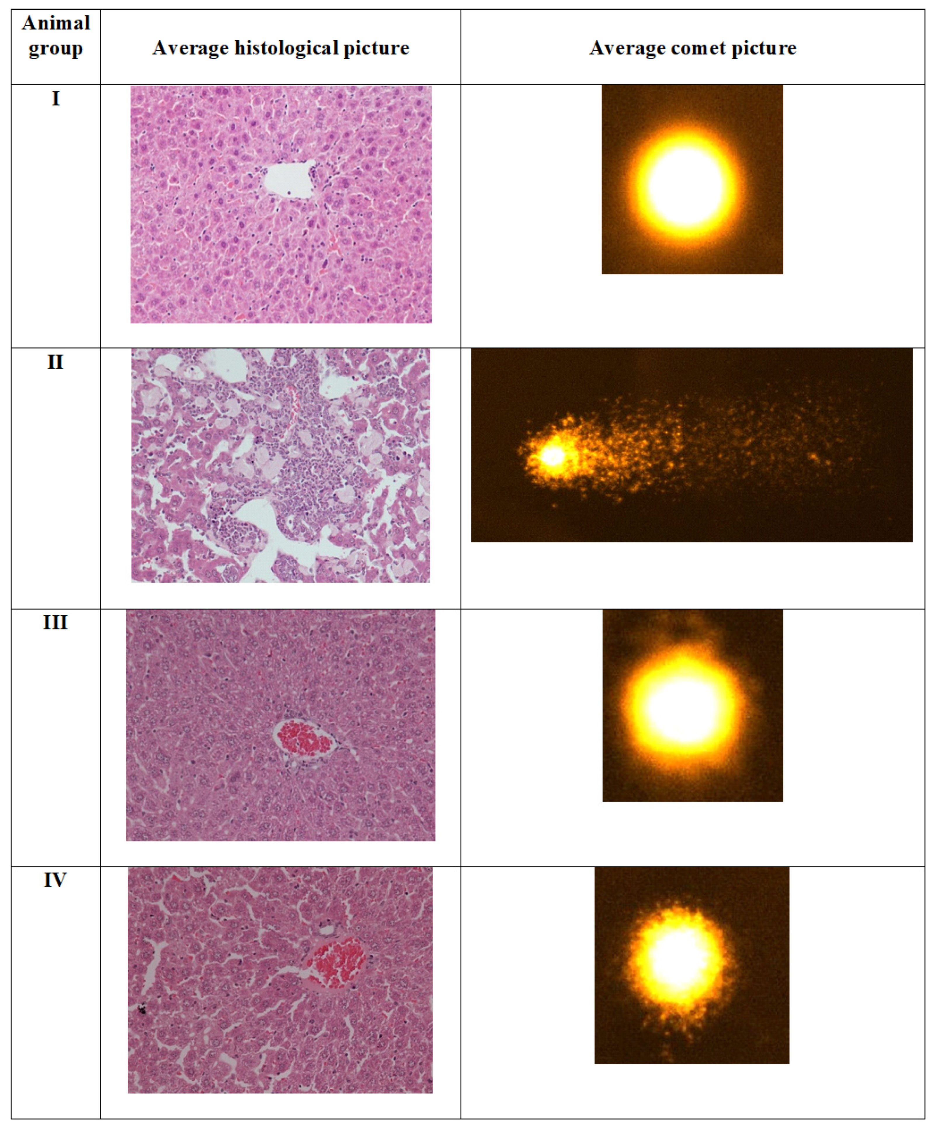 Molecules 26 01606 g009