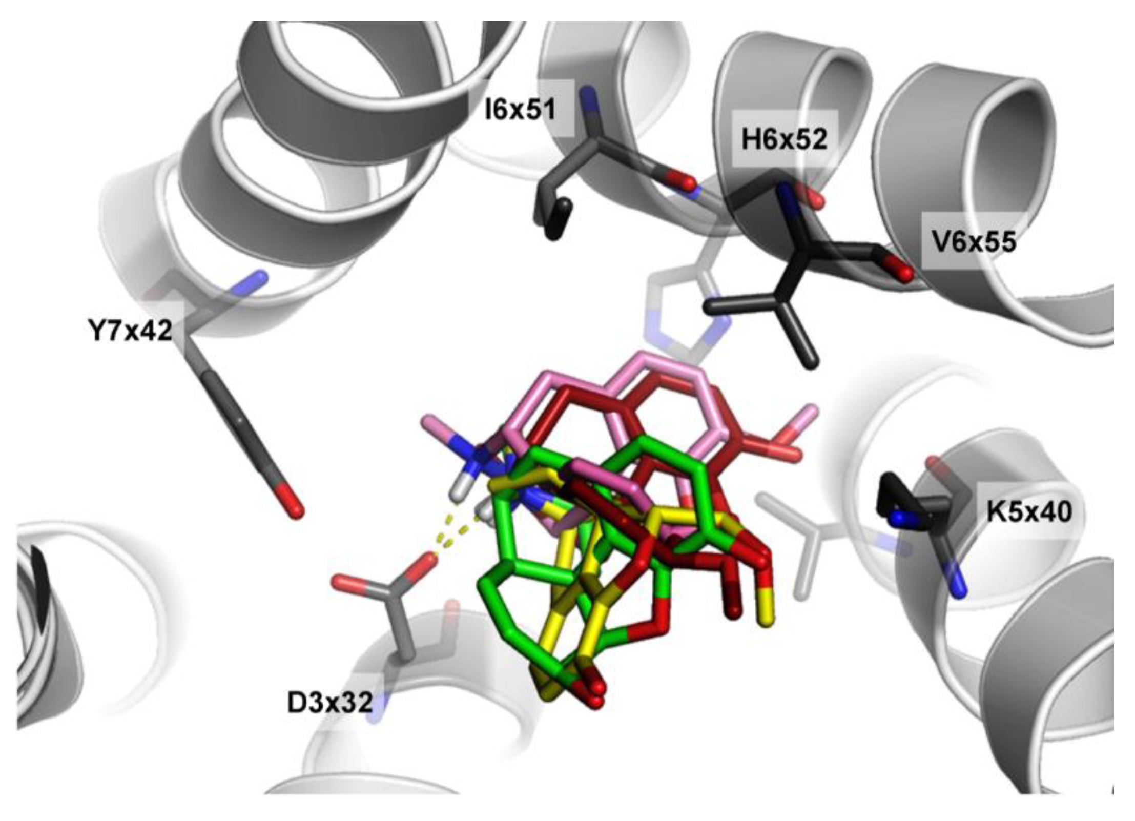 Molecules 26 01607 g012