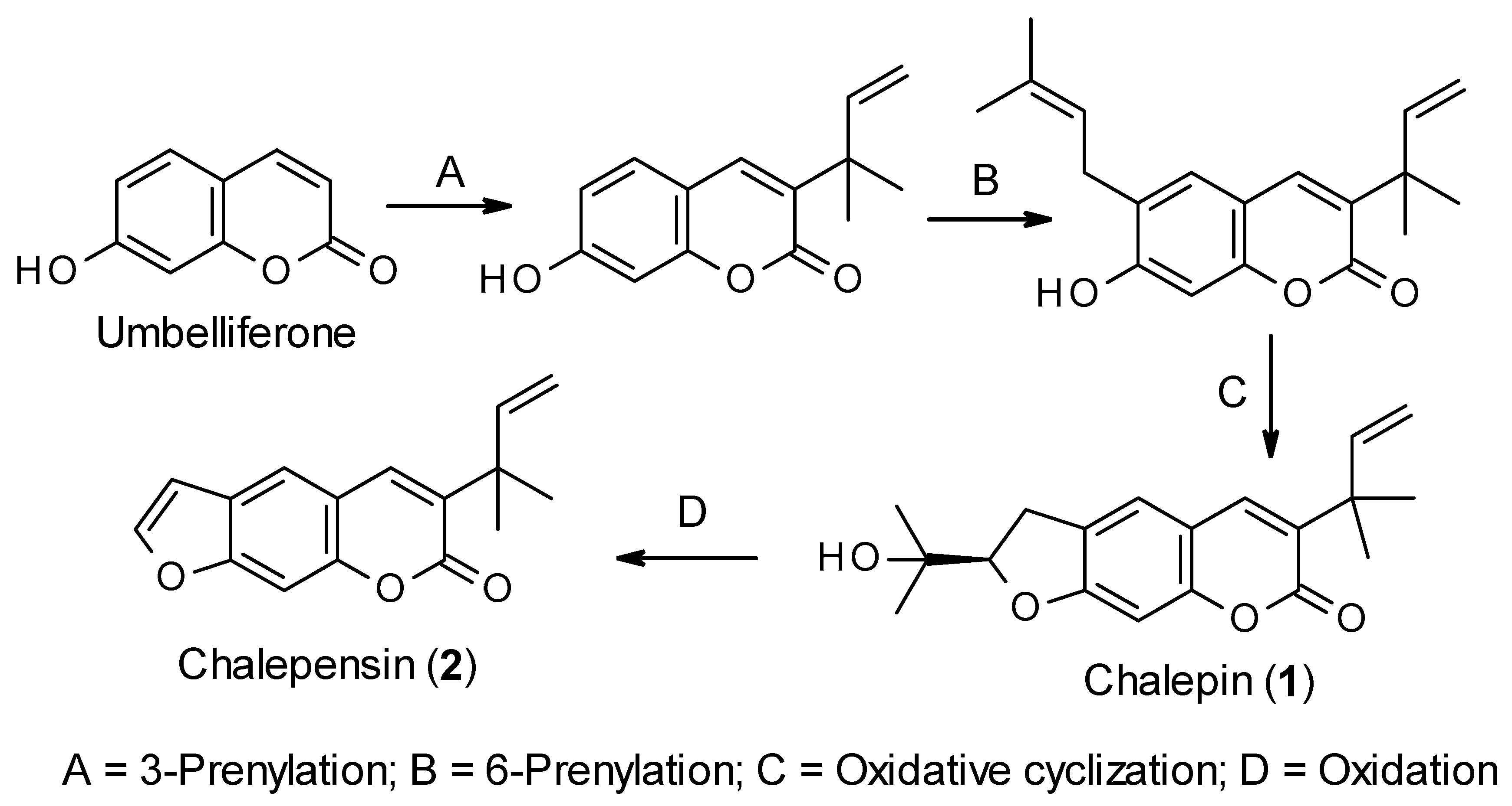 Molecules 26 01609 g002 Molecules 26 01609 g002