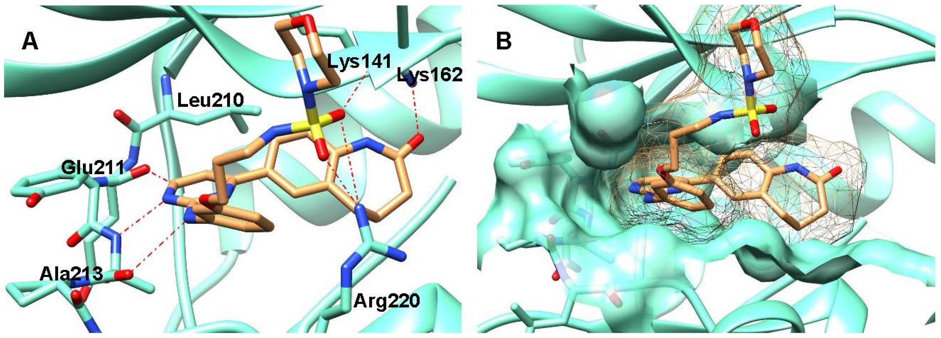 Molecules 26 01611 g005