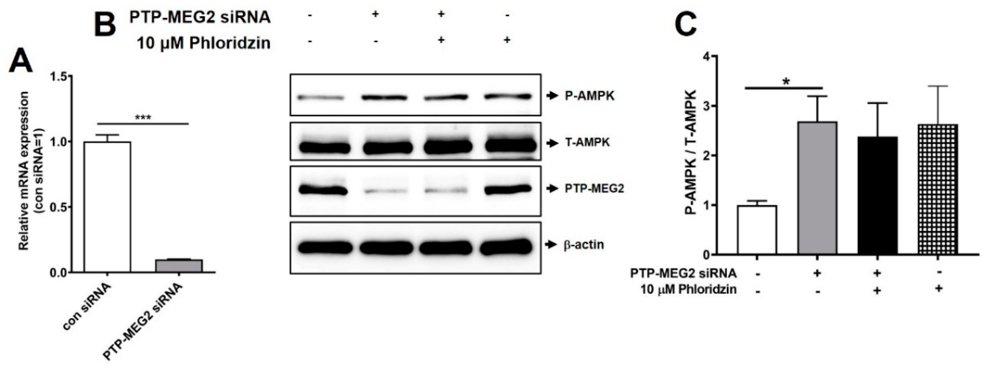 Molecules 26 01612 g002