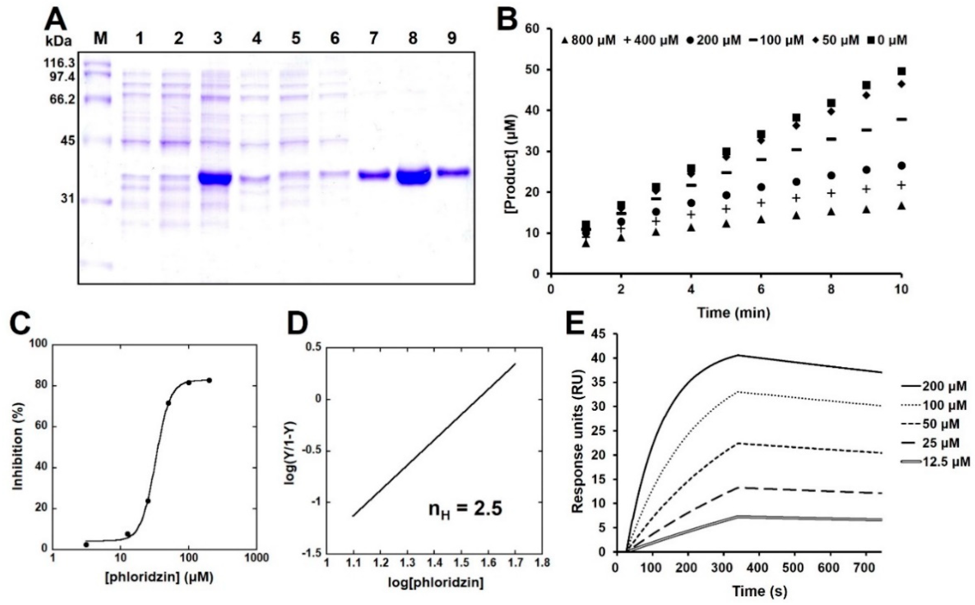 Molecules 26 01612 g003