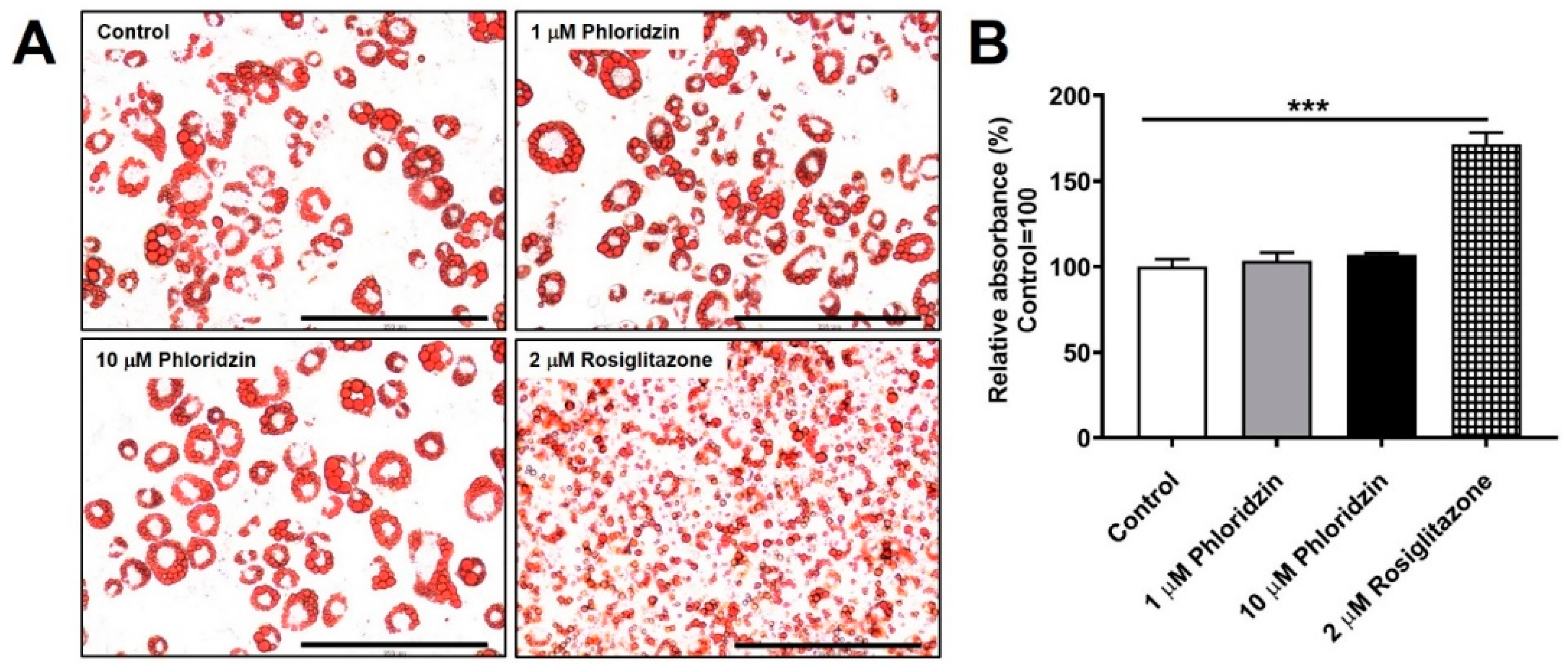 Molecules 26 01612 g007