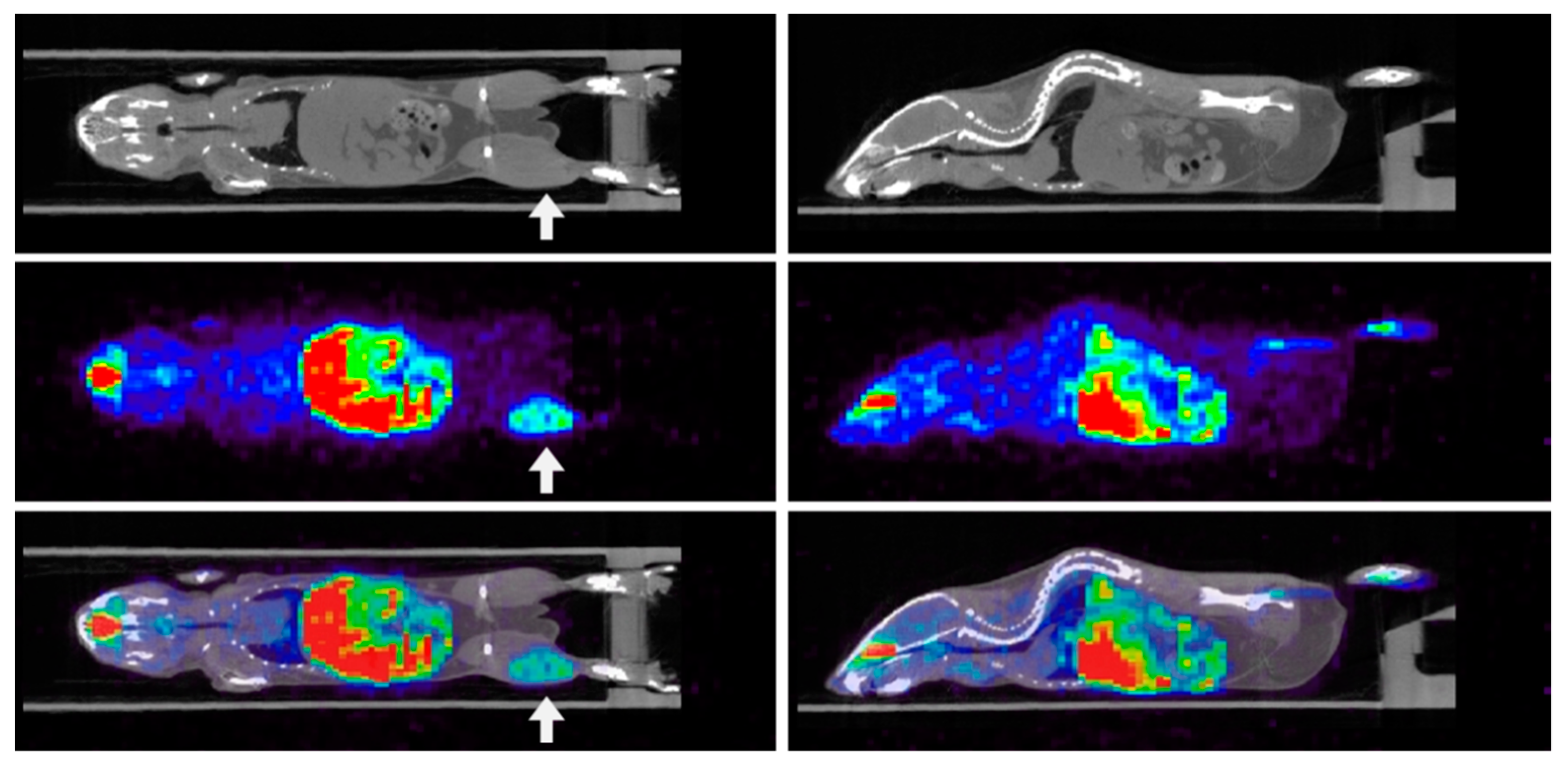 Molecules 26 01614 g002