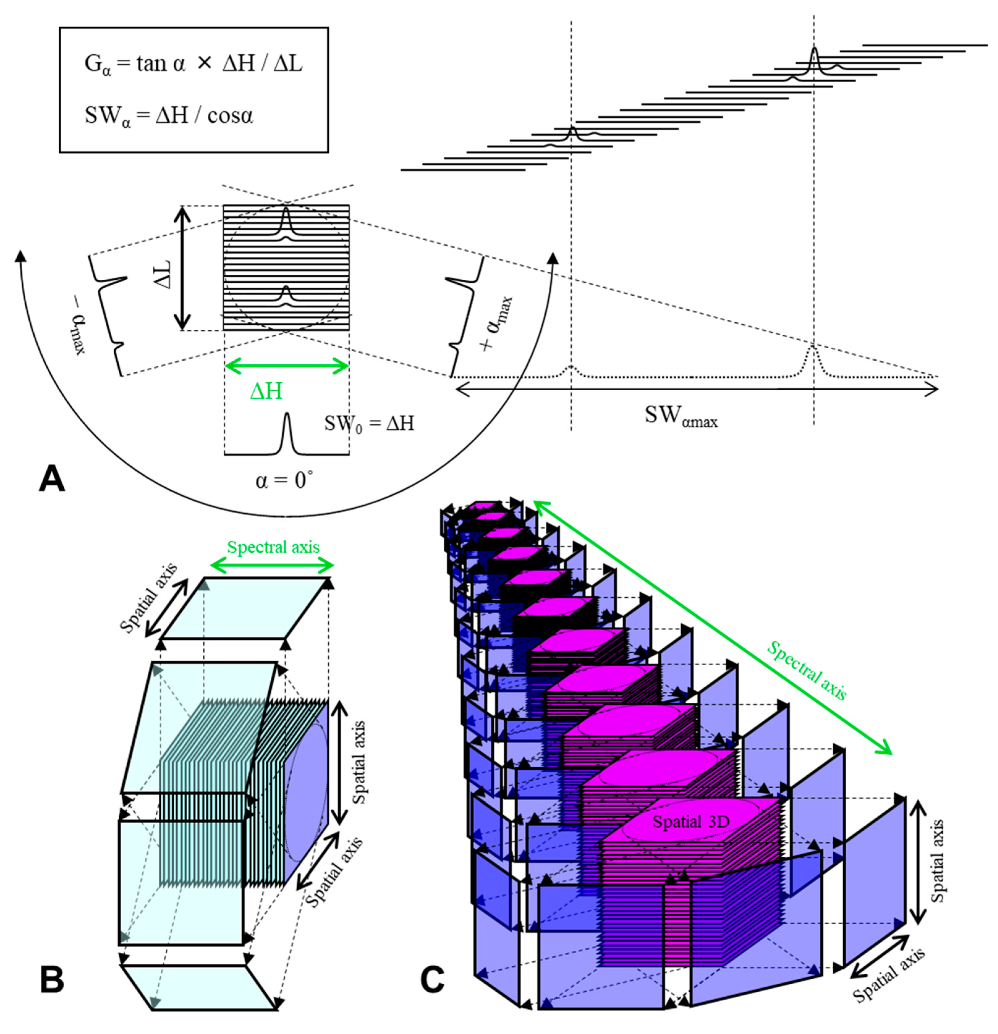 Molecules 26 01614 g004