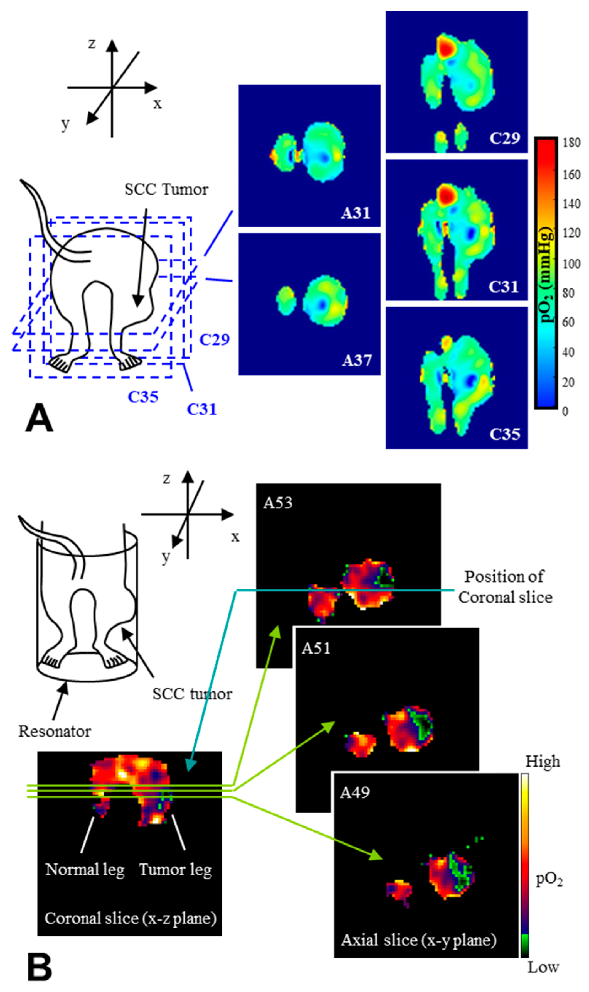 Molecules 26 01614 g006