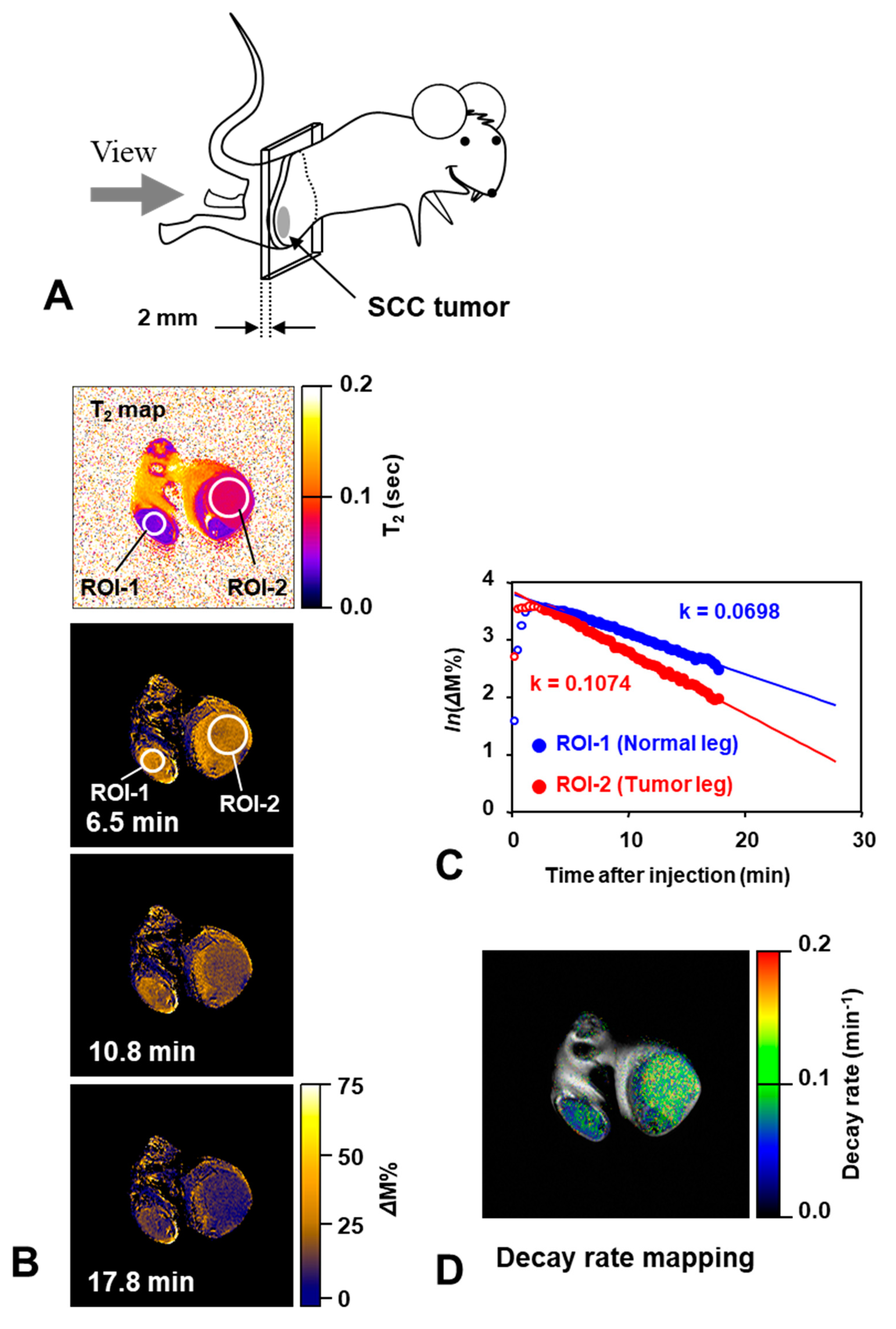 Molecules 26 01614 g010