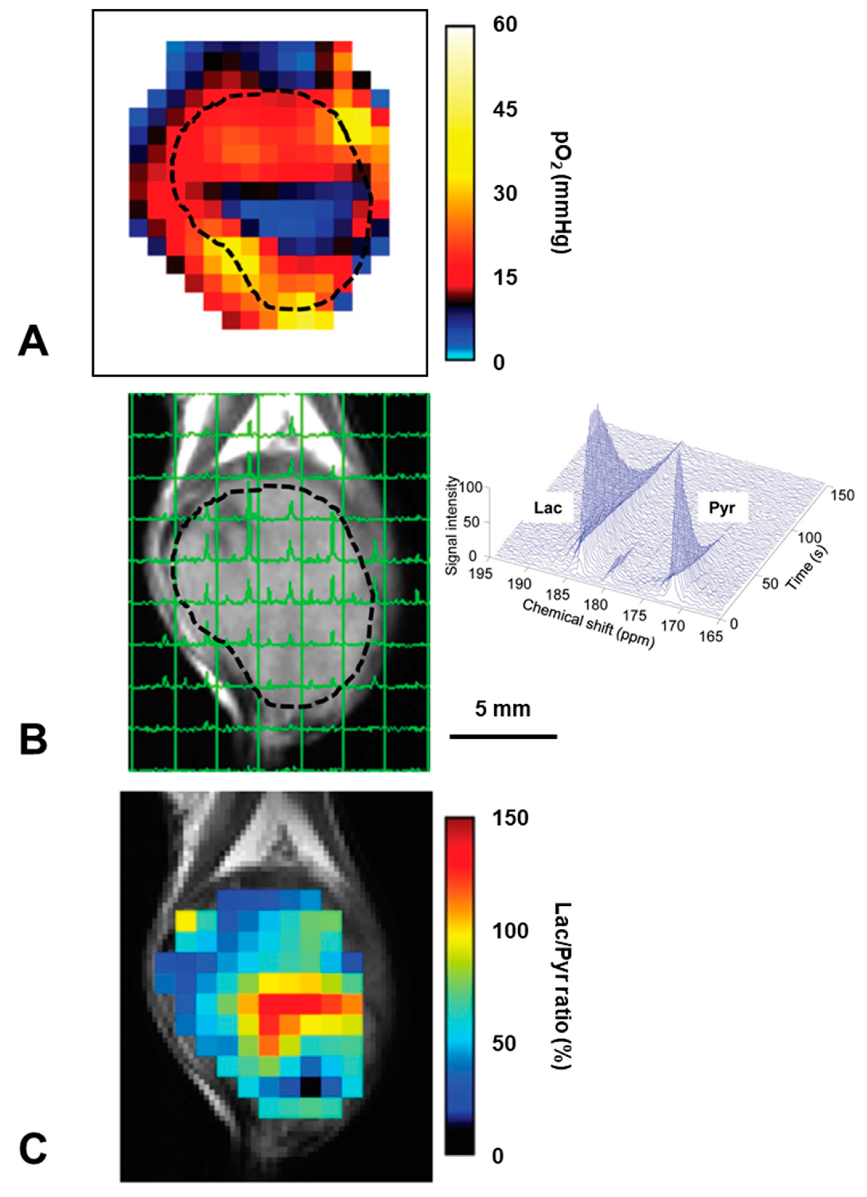 Molecules 26 01614 g014