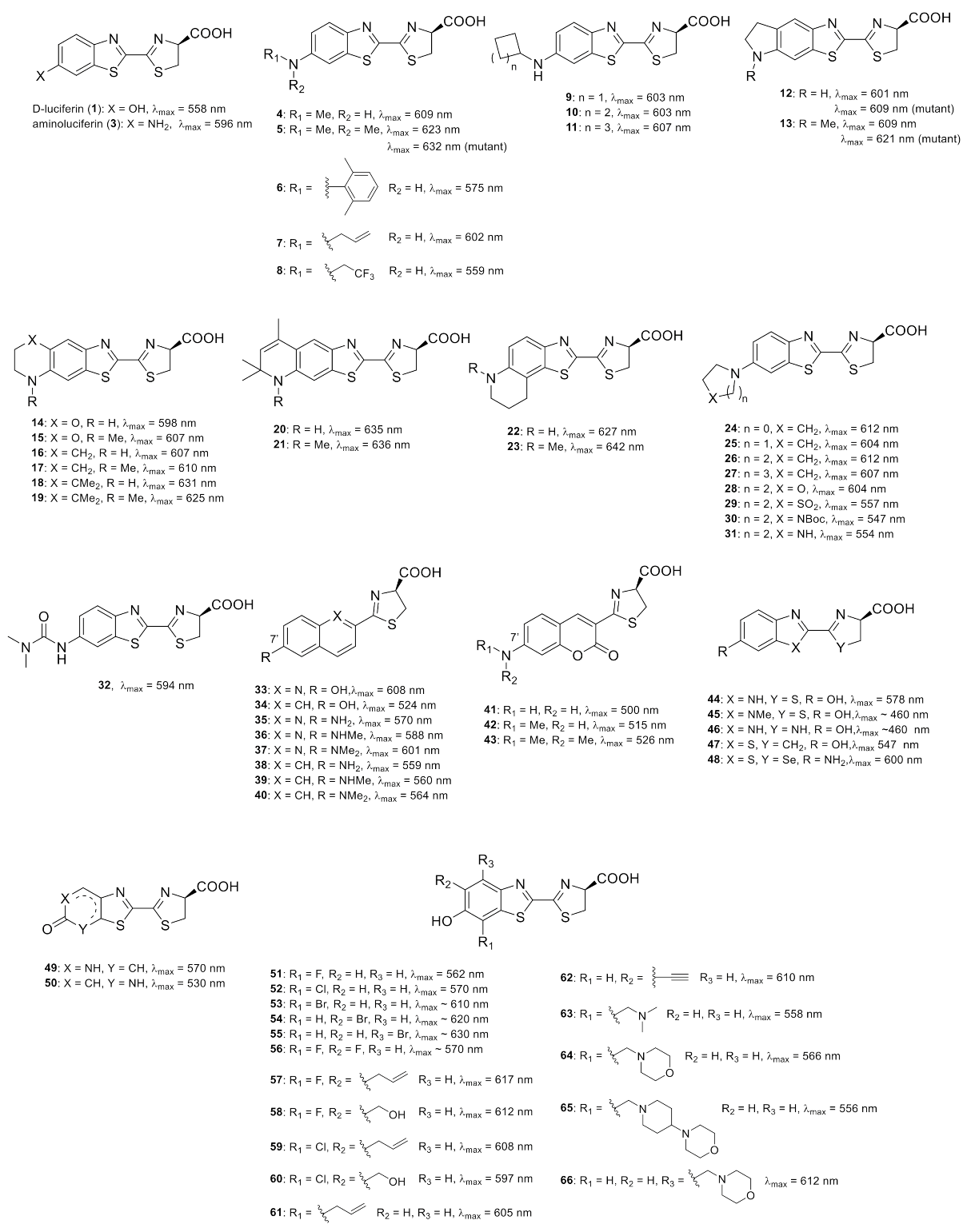 Molecules 26 01618 g002 Molecules 26 01618 g002