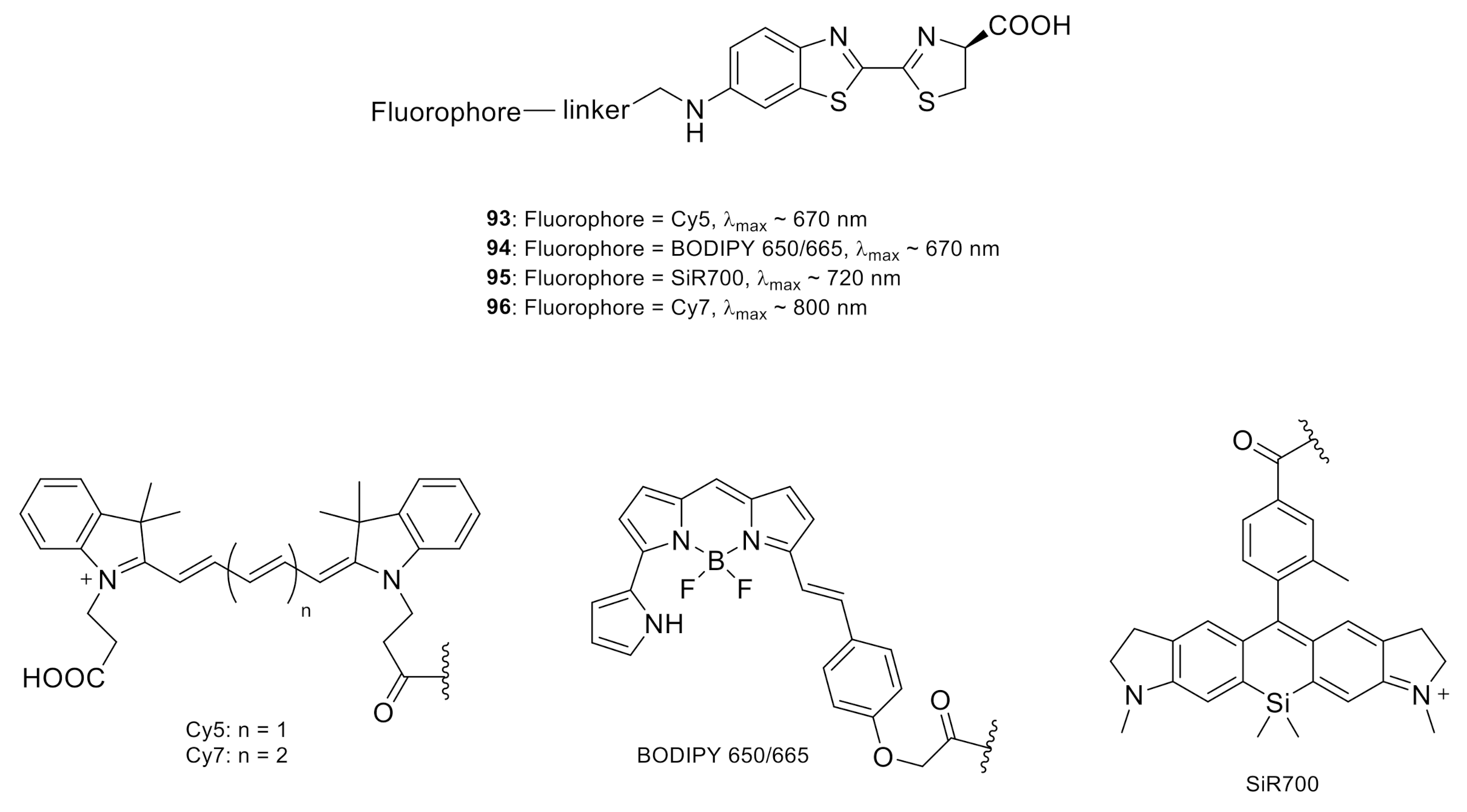 Molecules 26 01618 g004 Molecules 26 01618 g004
