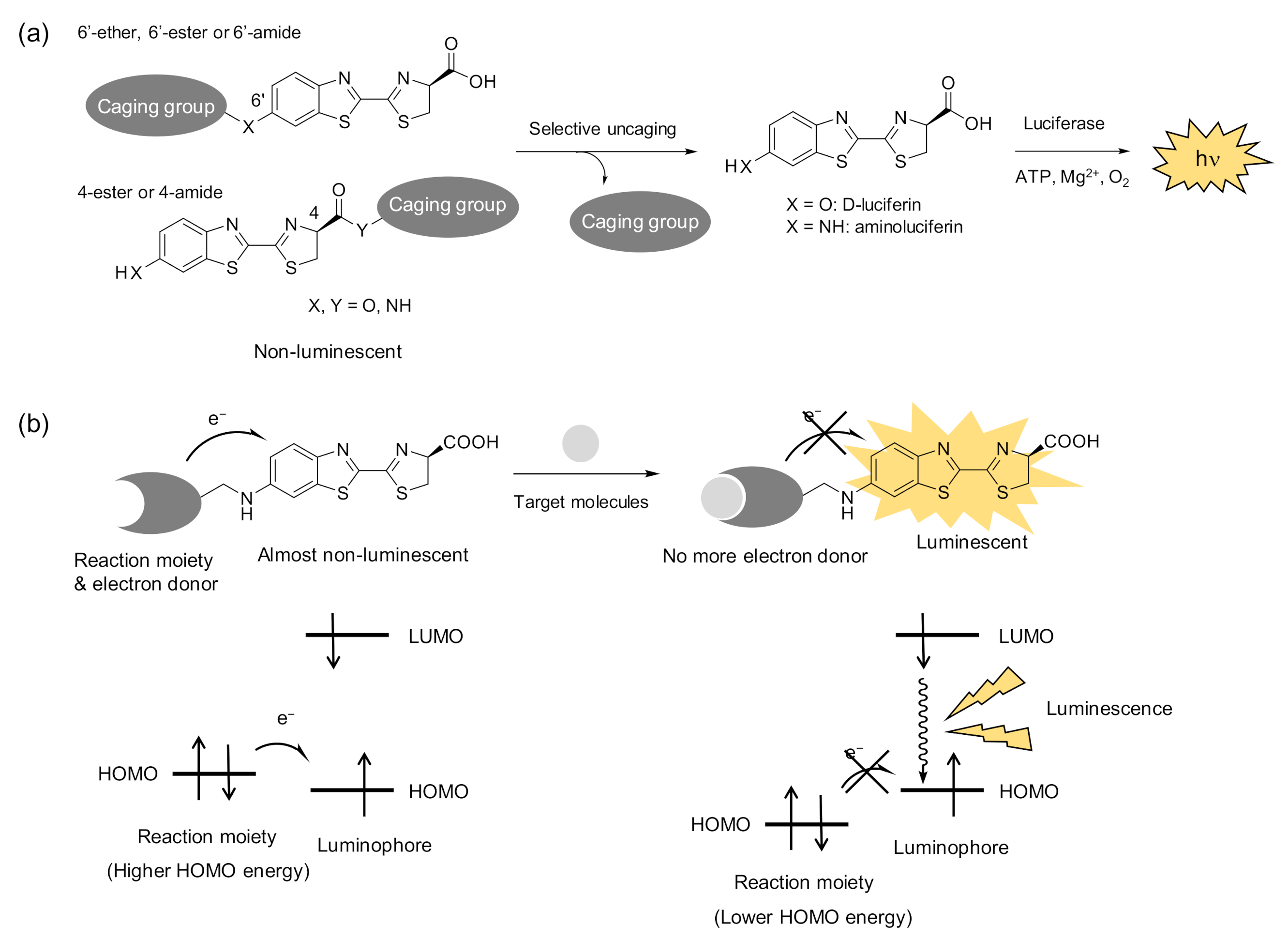 Molecules 26 01618 g005 Molecules 26 01618 g005