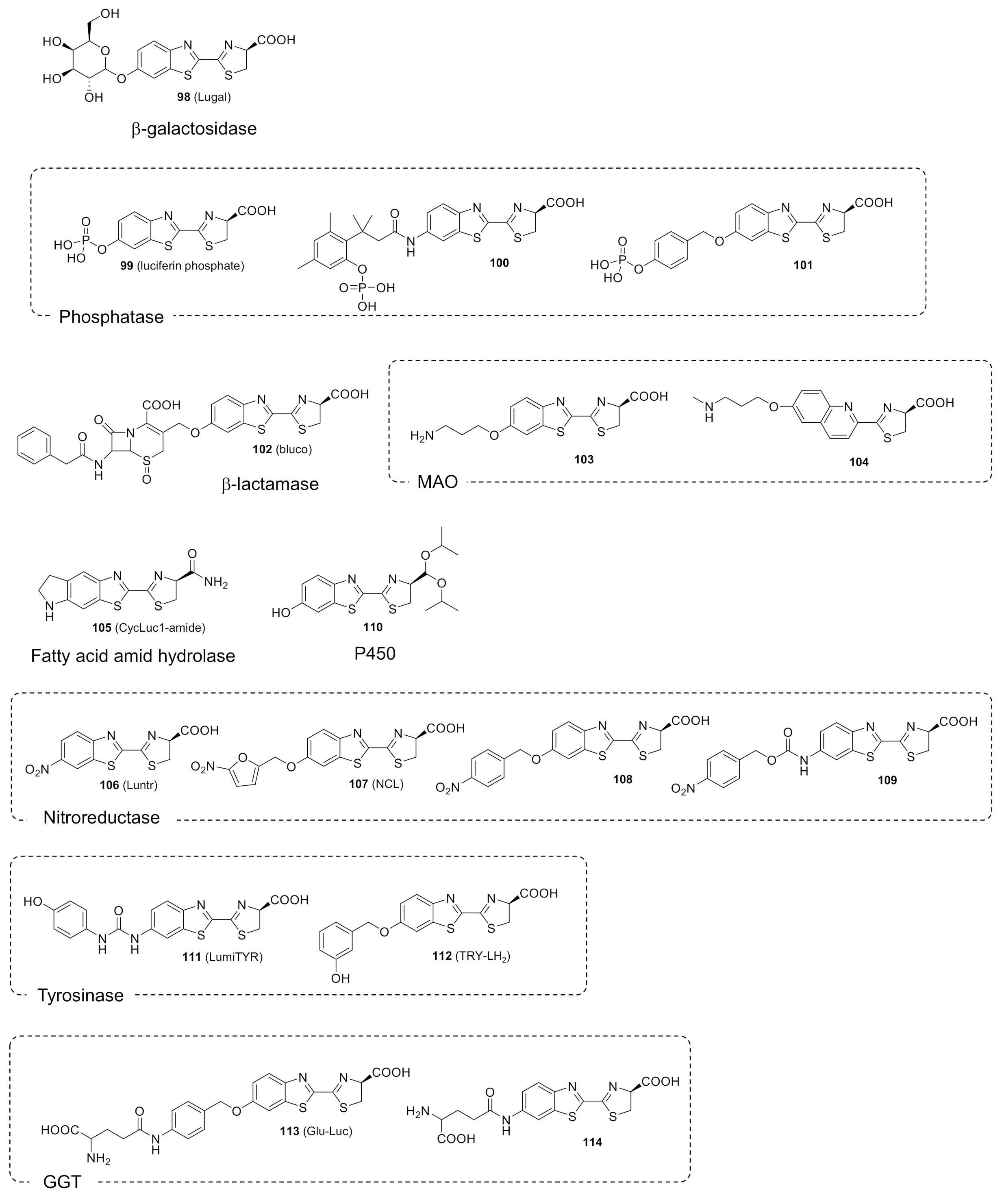 Molecules 26 01618 g006a Molecules 26 01618 g006a
