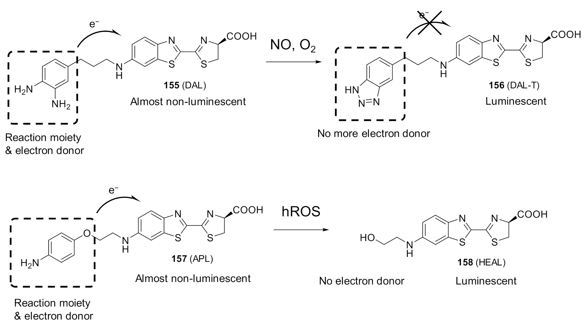 Molecules 26 01618 g011 Molecules 26 01618 g011