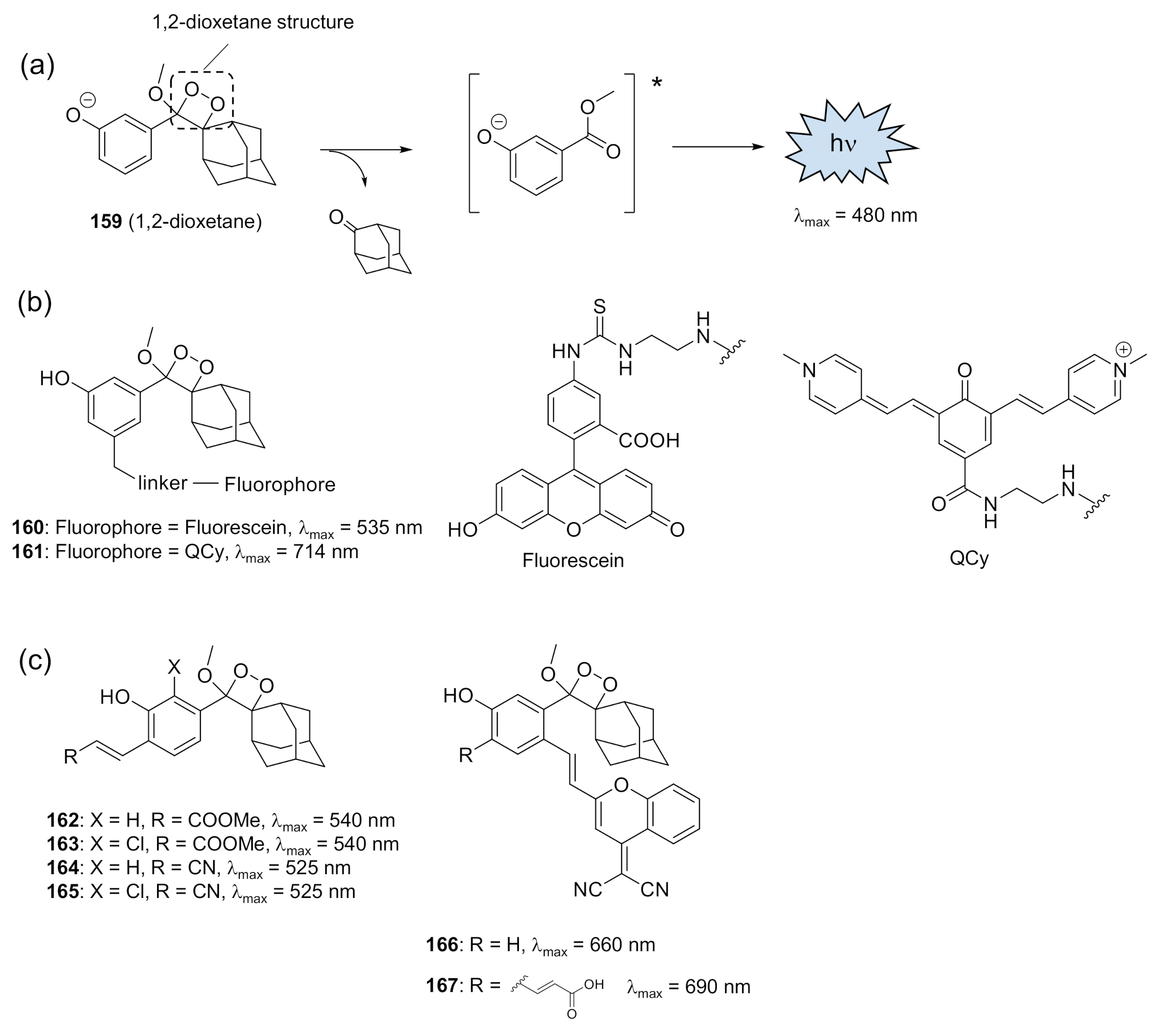 Molecules 26 01618 g012 Molecules 26 01618 g012