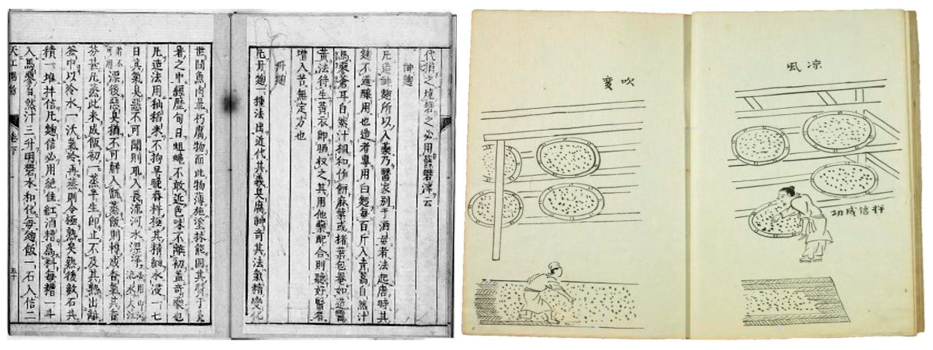 Molecules 26 01619 g002 Molecules 26 01619 g002