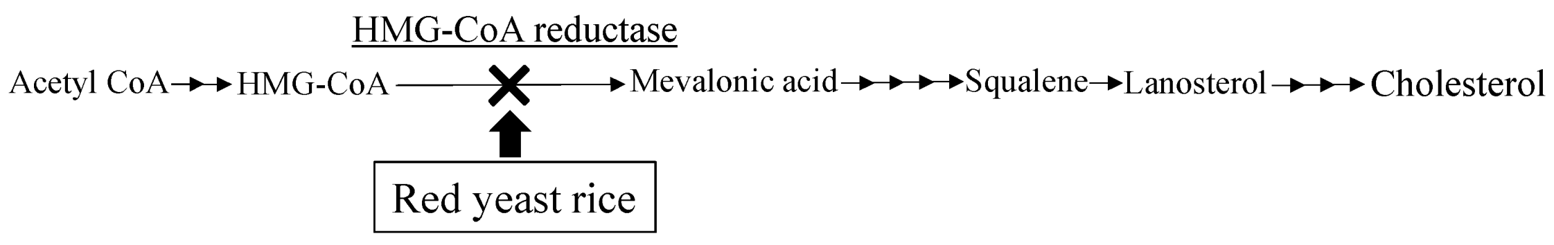 Molecules 26 01619 g012 Molecules 26 01619 g012