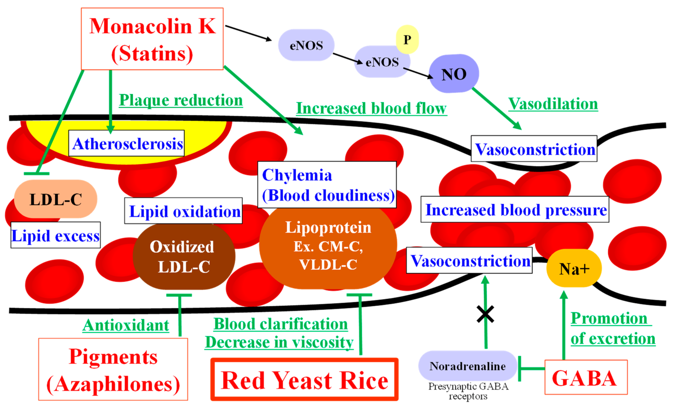 Molecules Free FullText A Review of Red Yeast Rice, a Traditional