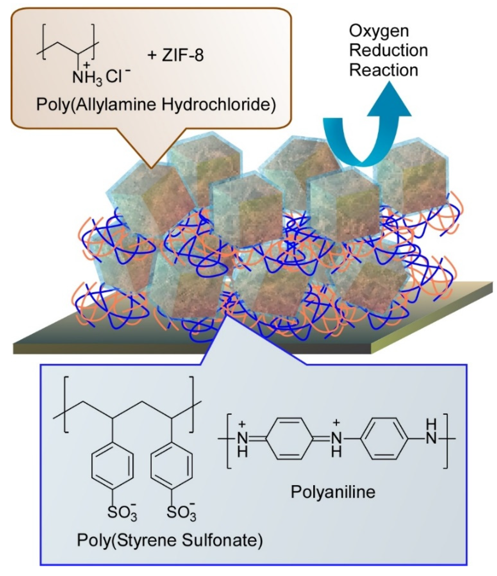 Molecules 26 01621 g020