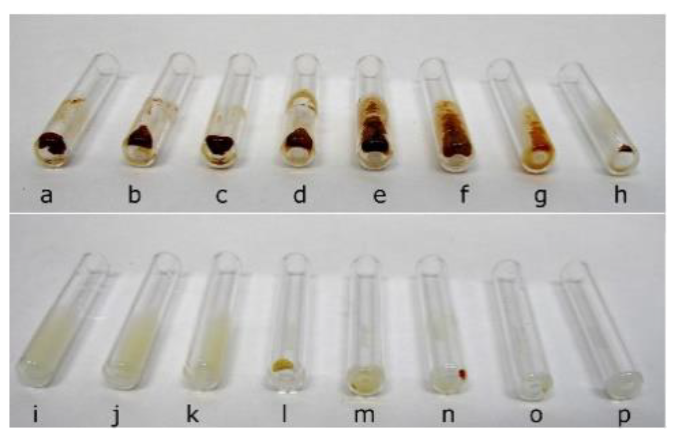 Molecules 26 01623 g001