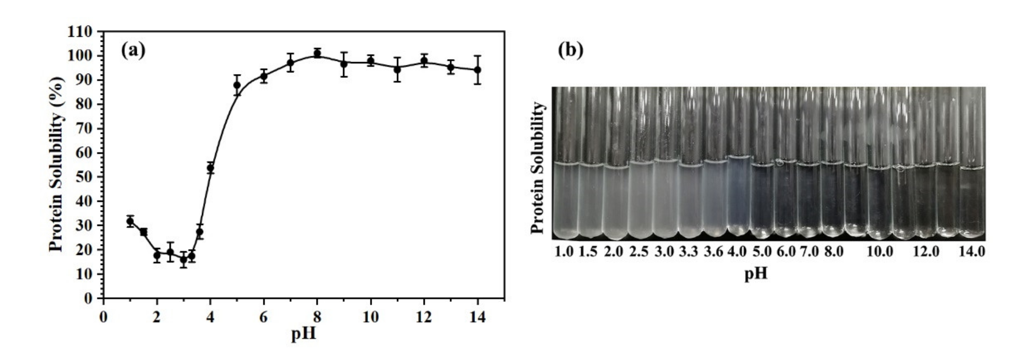 Molecules 26 01625 g001 Molecules 26 01625 g001