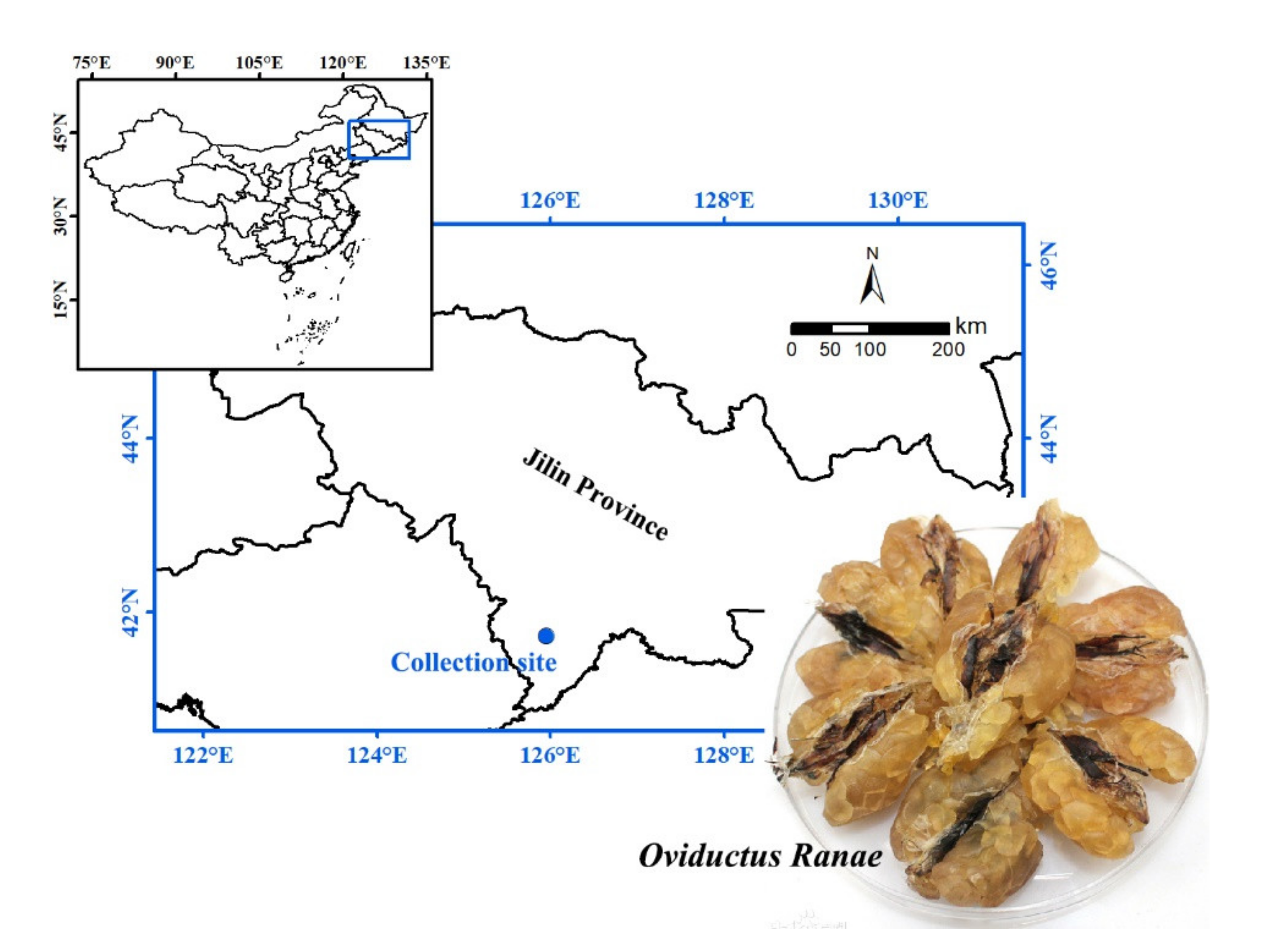 Molecules 26 01625 g005 Molecules 26 01625 g005
