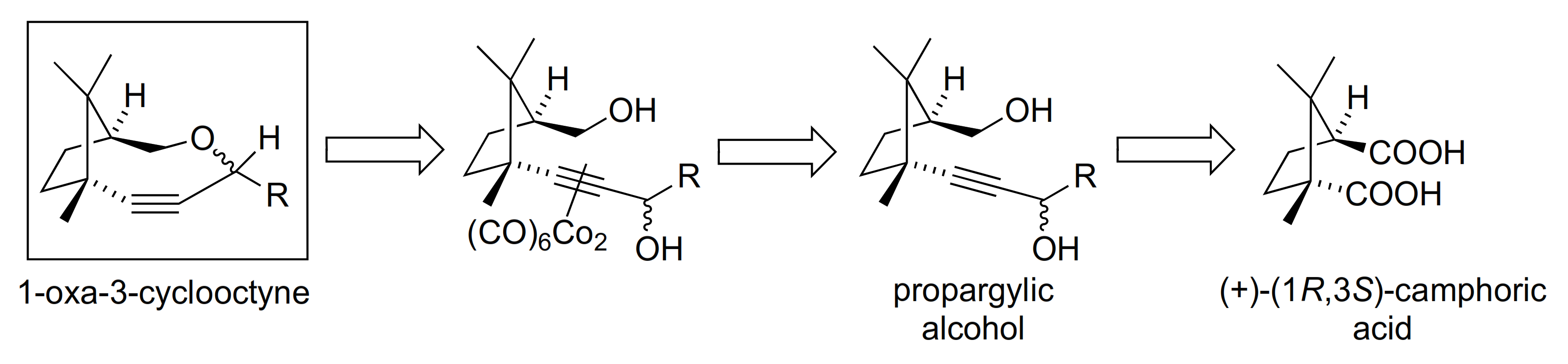 Molecules 26 01629 sch001