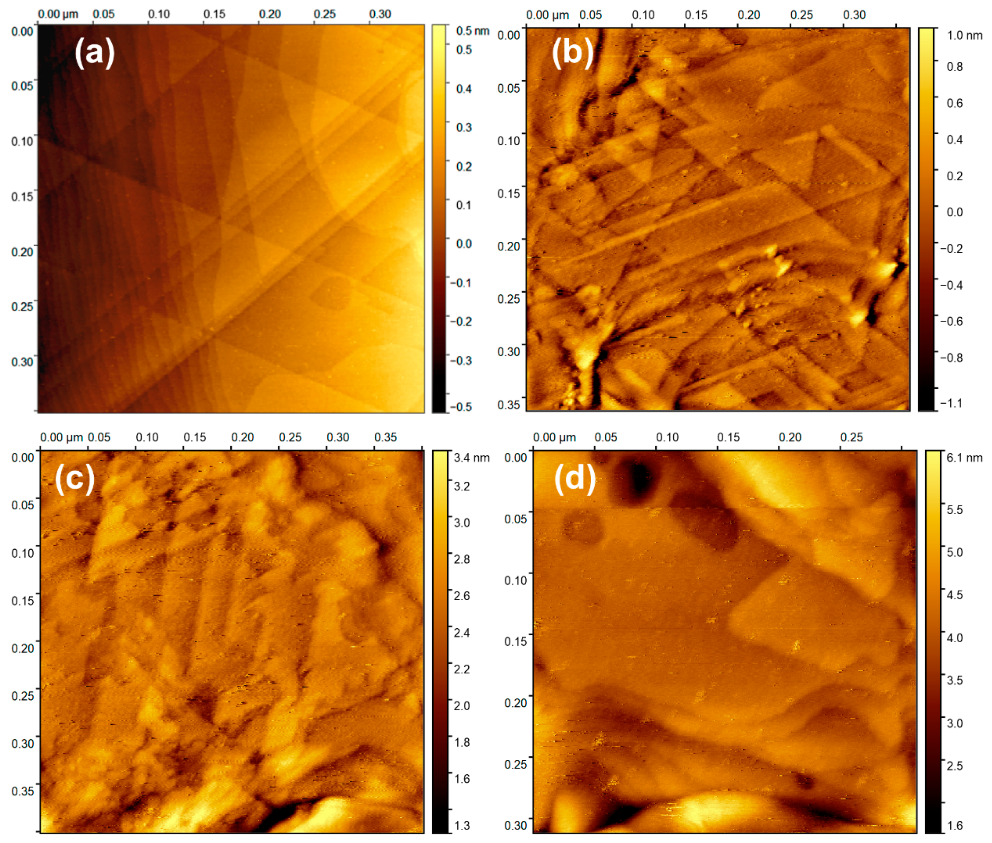 Molecules 26 01631 g004 Molecules 26 01631 g004