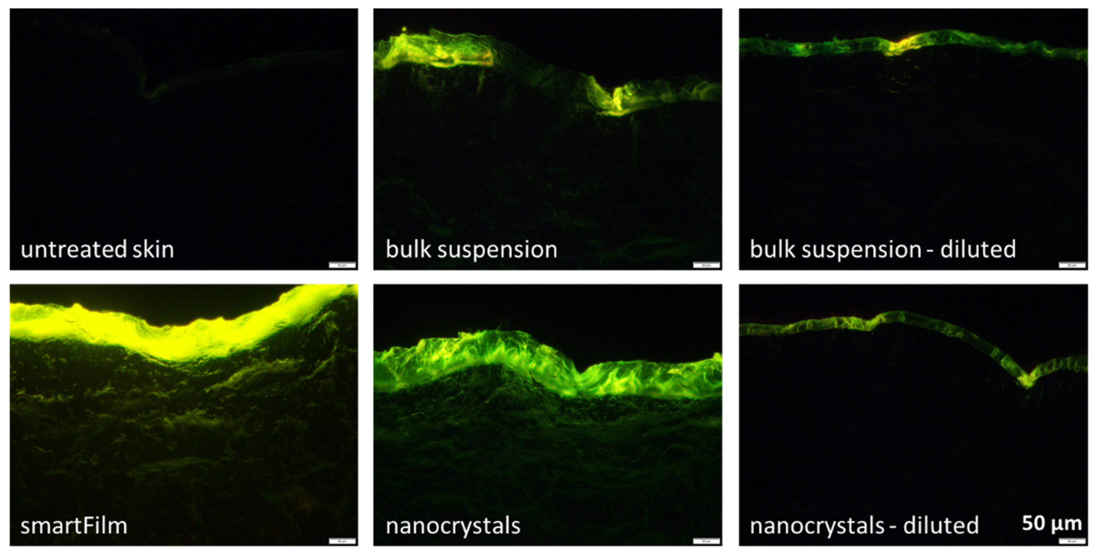 Molecules 26 01633 g004 Molecules 26 01633 g004